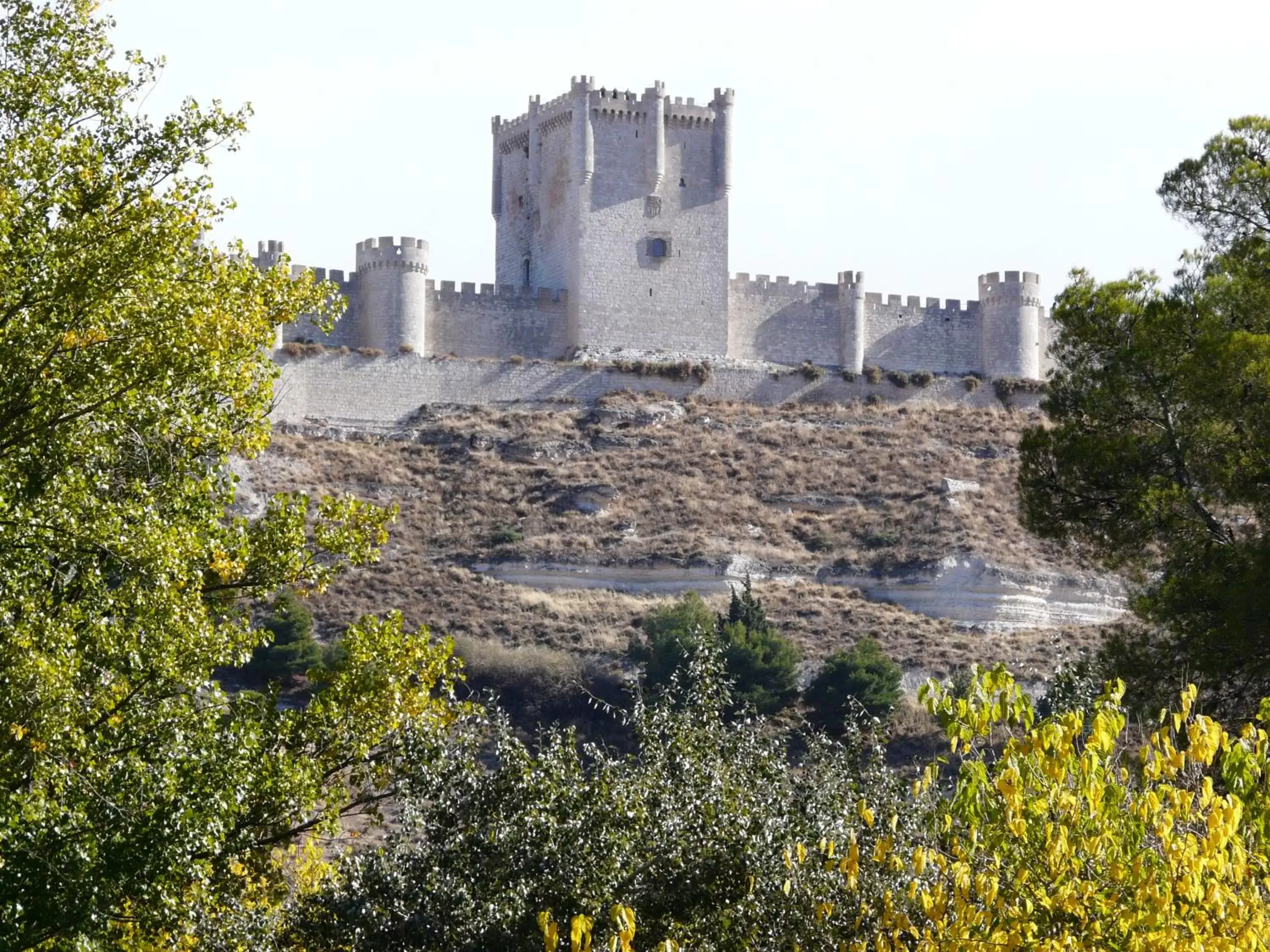 View (from property/room), Property Building in AZZ Peñafiel Las Claras Hotel & Spa