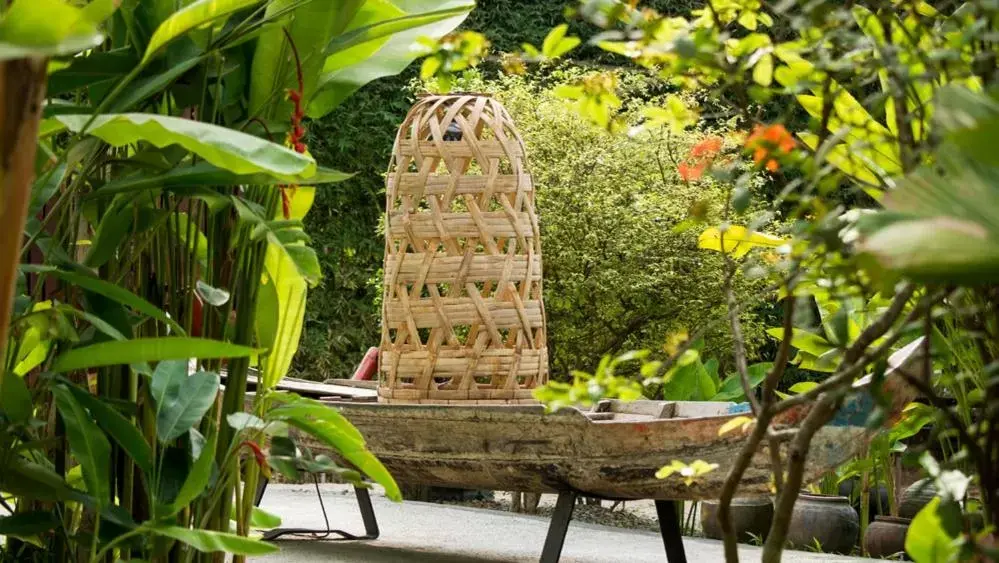Garden in Maisons Wat Kor