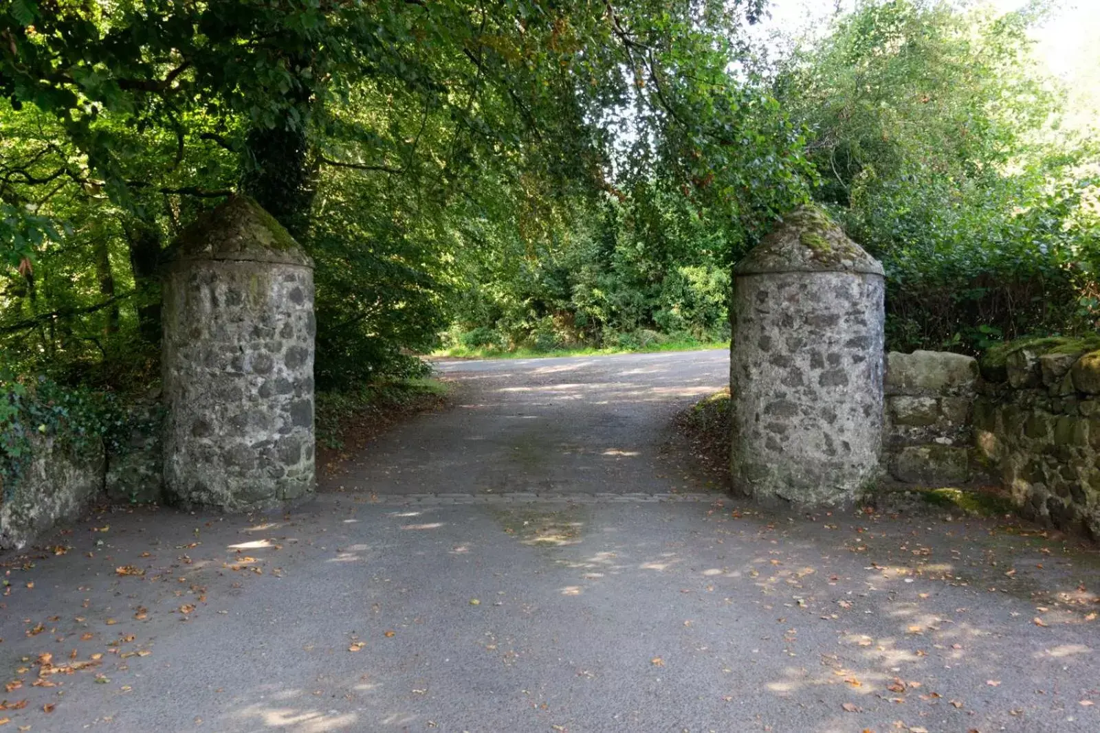 Facade/entrance in Millbrae Lodges