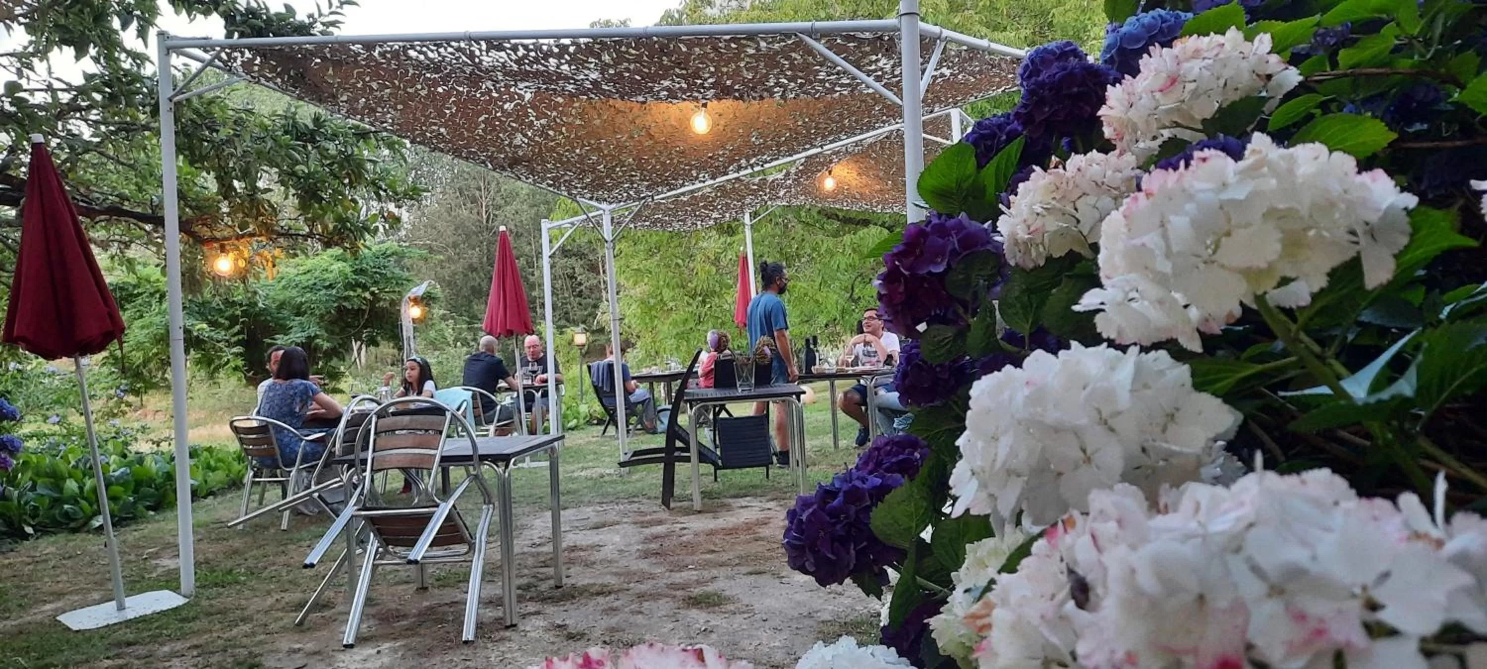 Dinner in Rectoral de Anllo