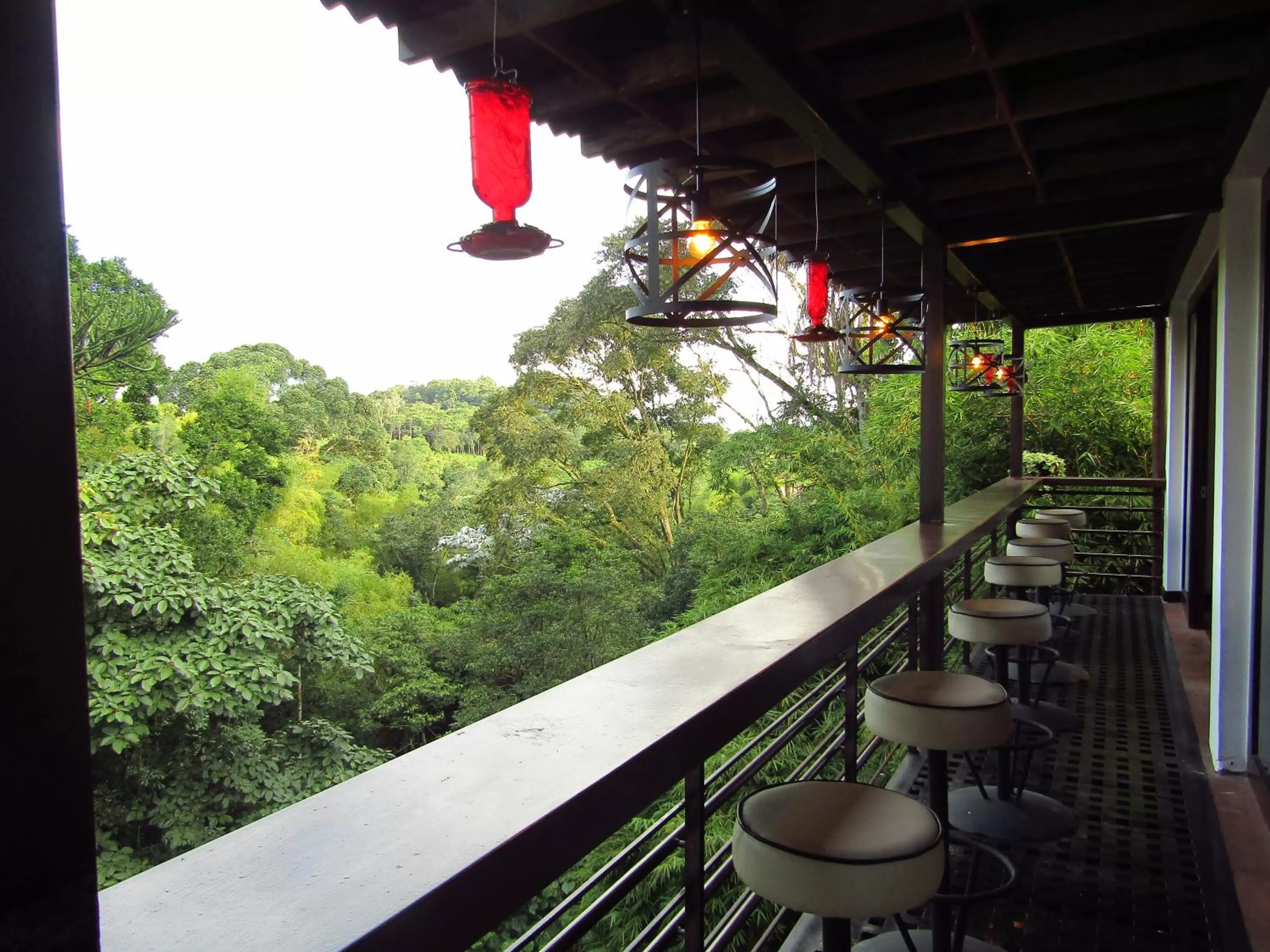 Garden view, Balcony/Terrace in Hotel Bambu Inn