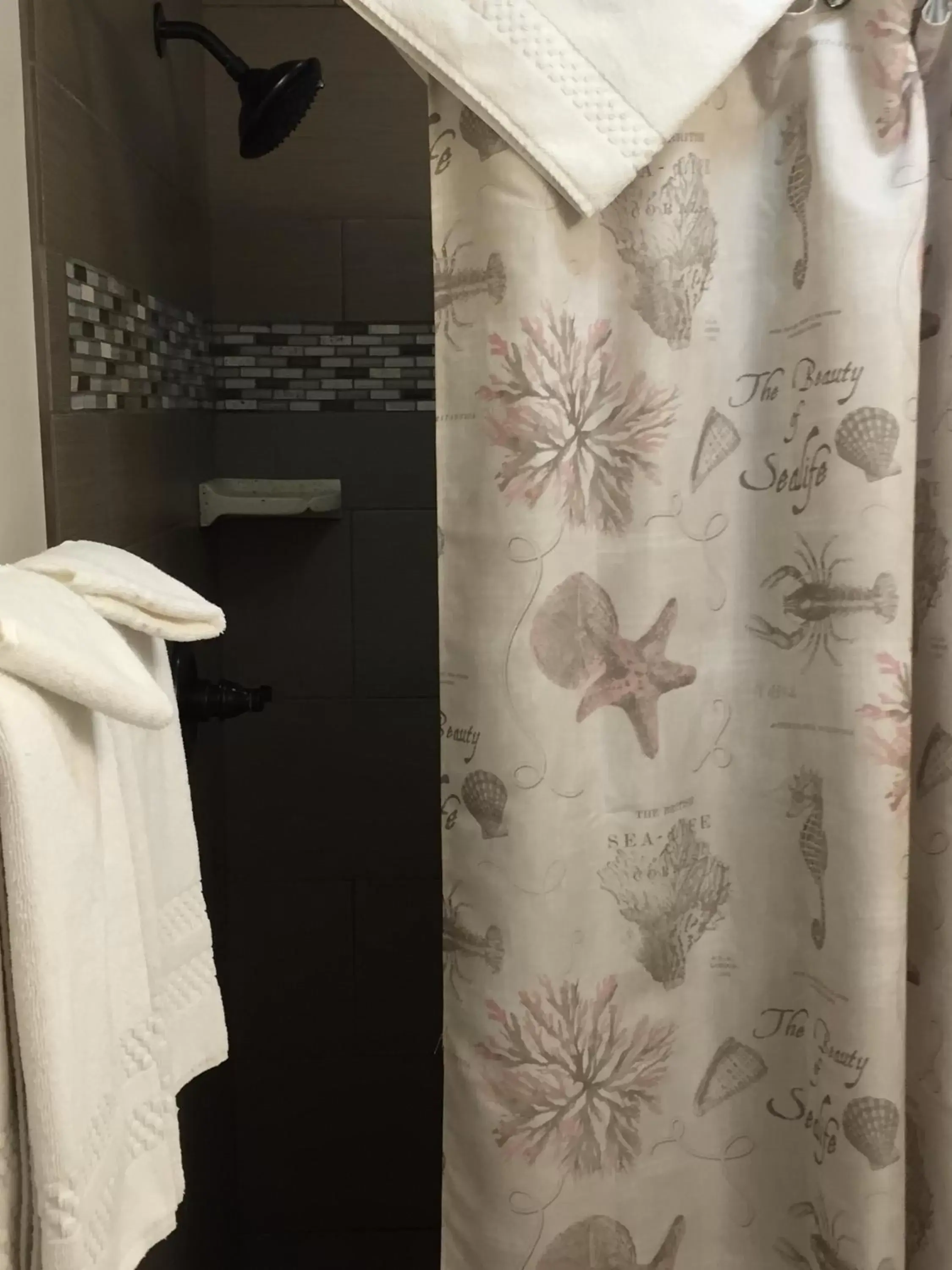 Shower, Bathroom in Beach Bungalow Inn and Suites
