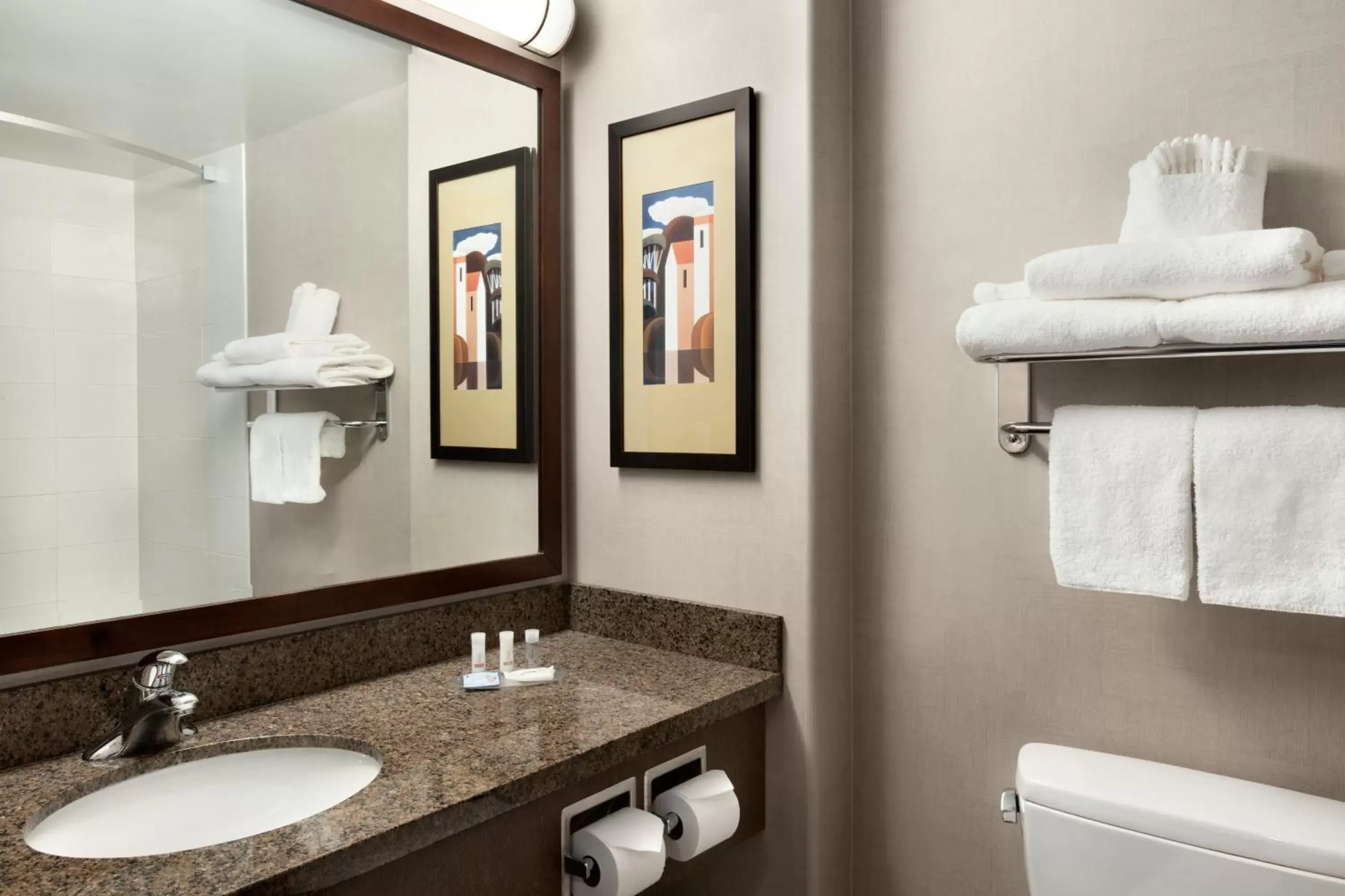 Bathroom in Days Inn by Wyndham Regina