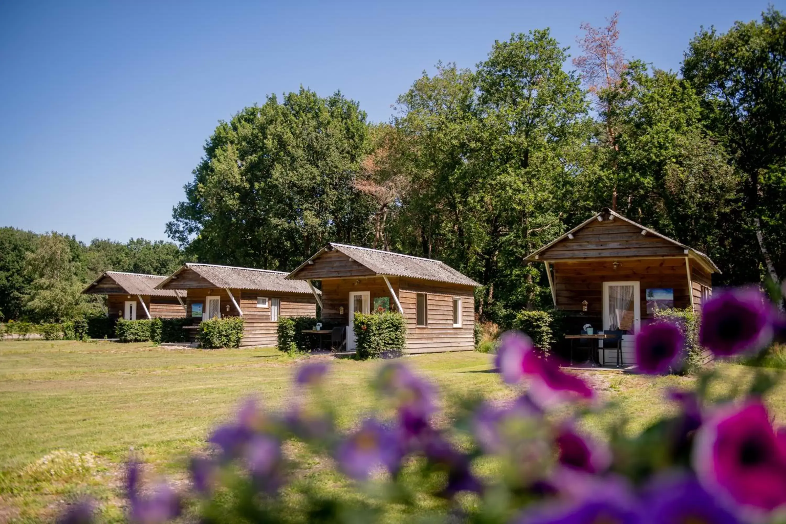 Property Building in Natuurpoort van Loon