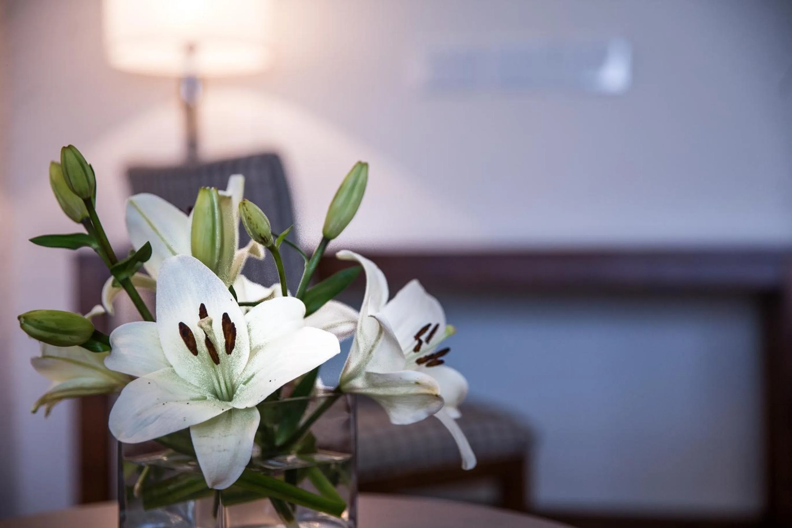 Lobby or reception in Howard Johnson Plaza Buenos Aires