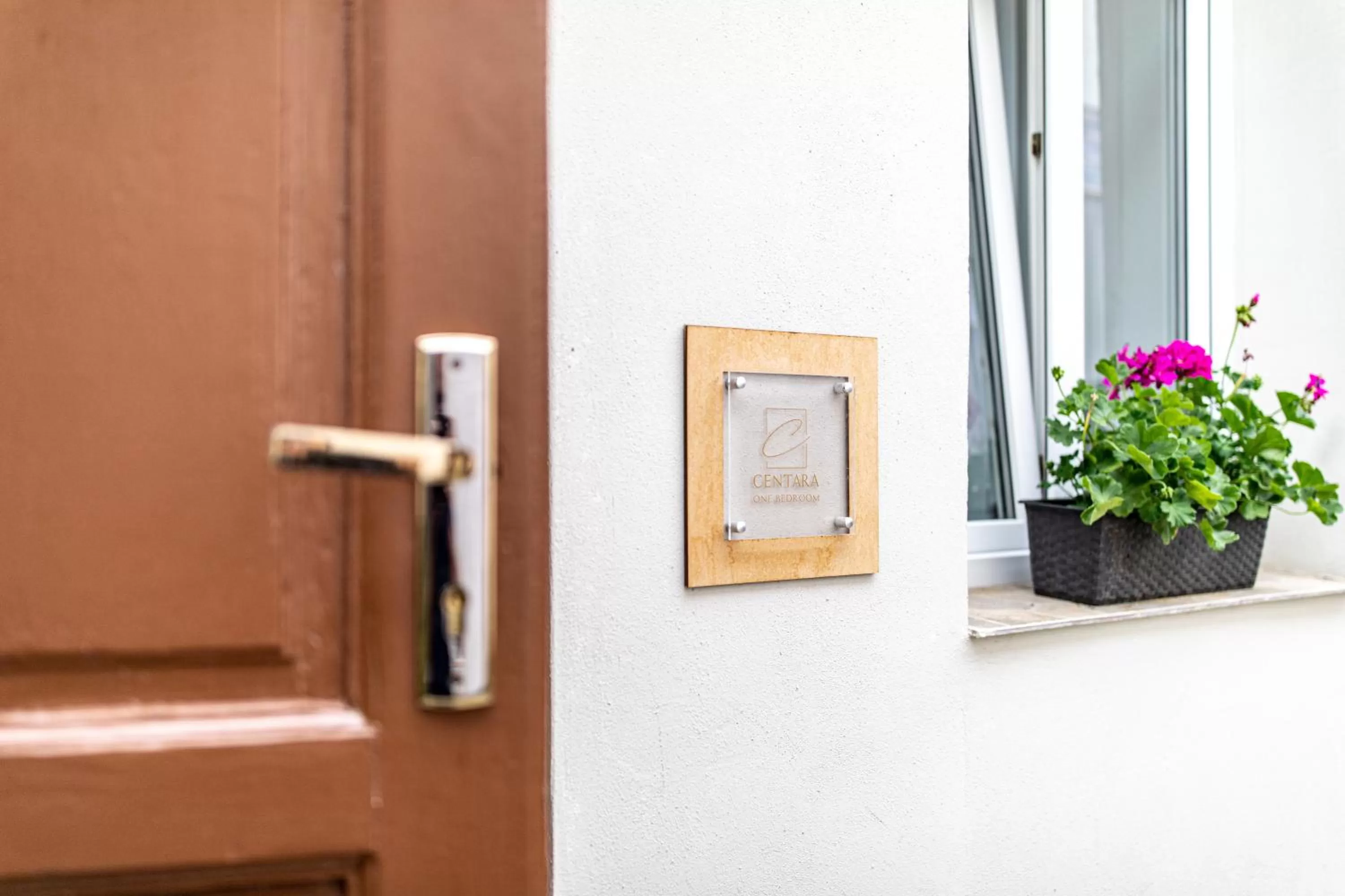 Decorative detail in ALBERT RESIDENCE Brasov with complimentary parking and 10 percent Food and Drinks