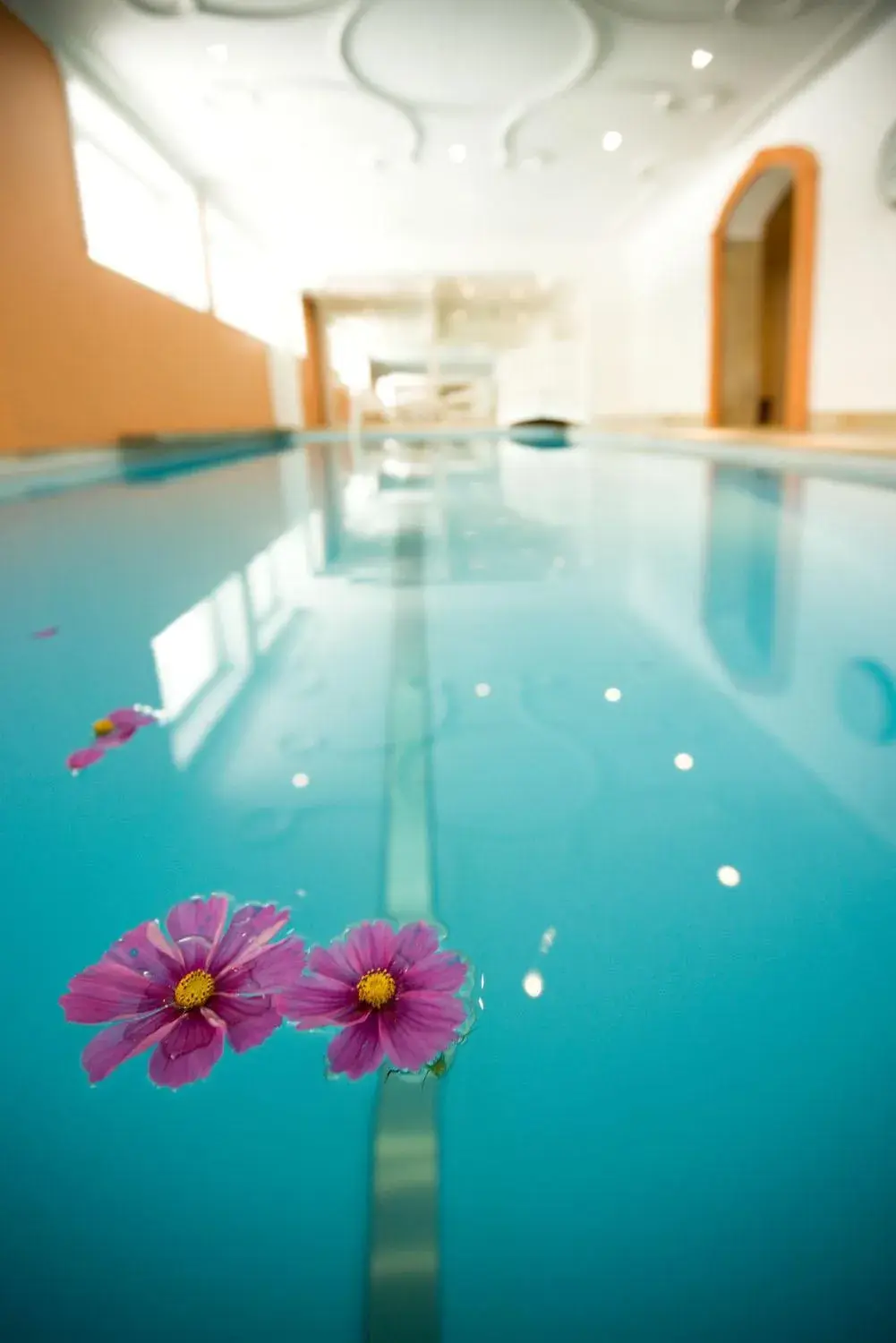 Swimming Pool in Minglers Sportalm - Das Gourmet- und Genießerhotel