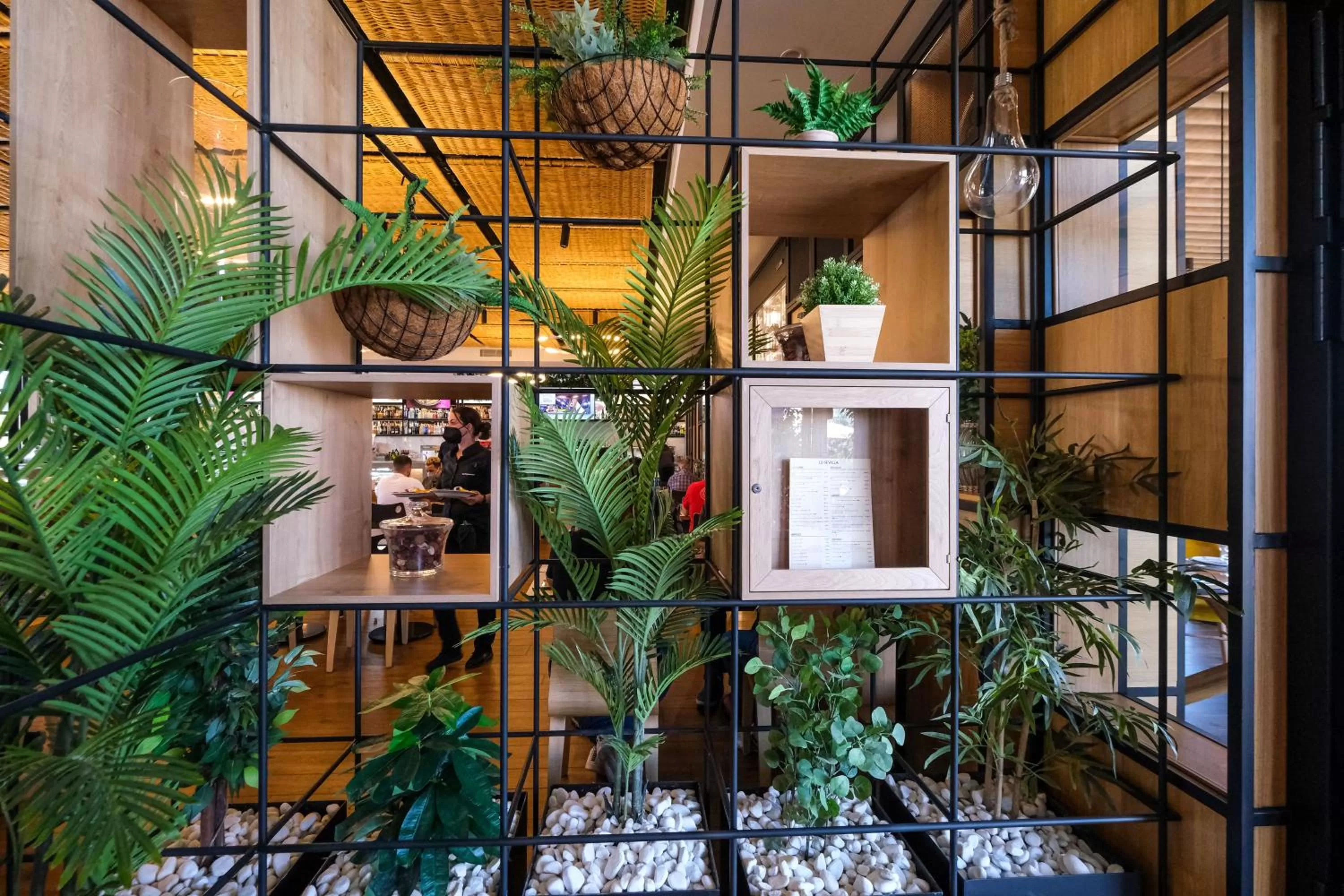 Restaurant/places to eat in LD Sevilla