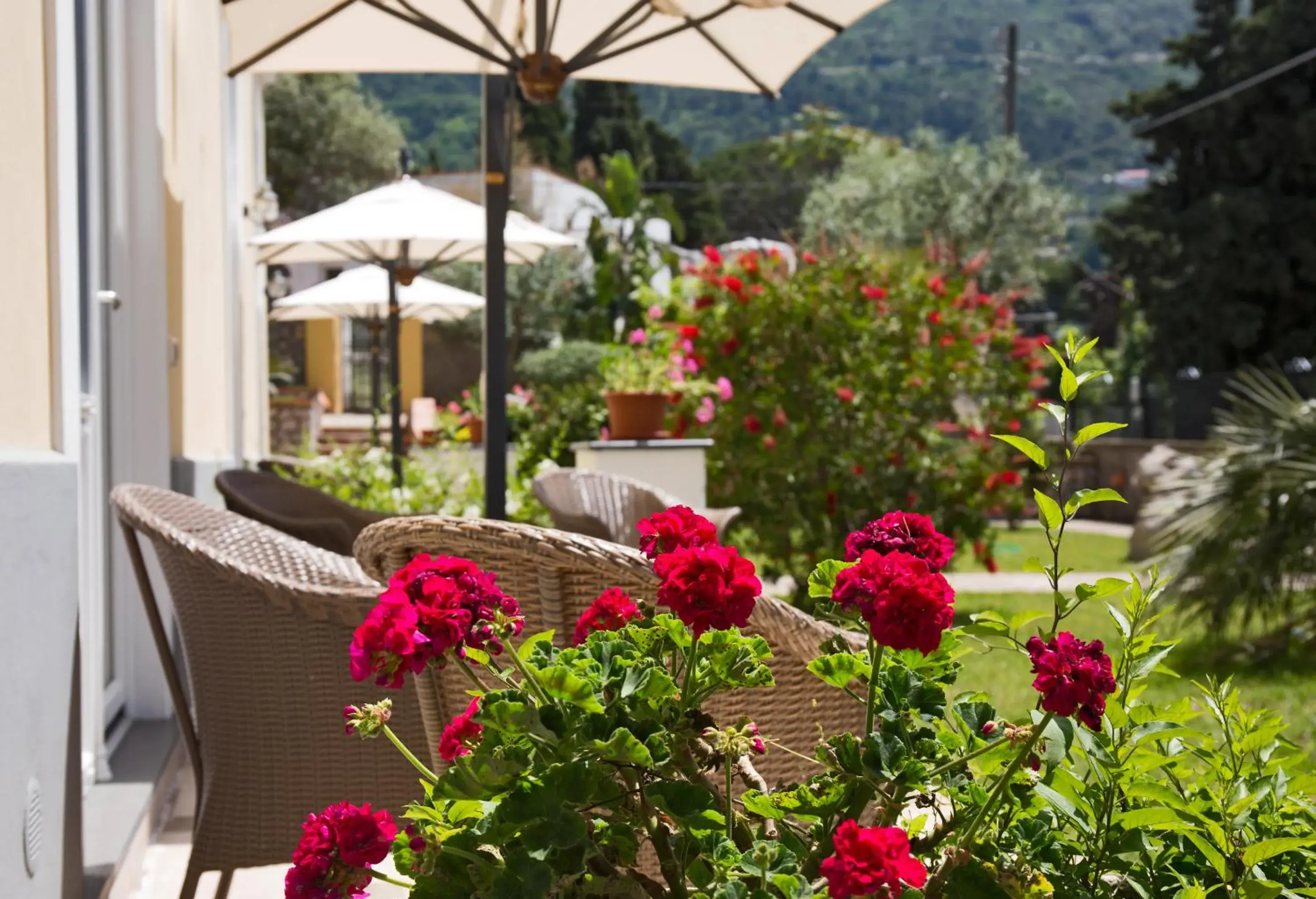 Garden in Hotel Villa Ceselle
