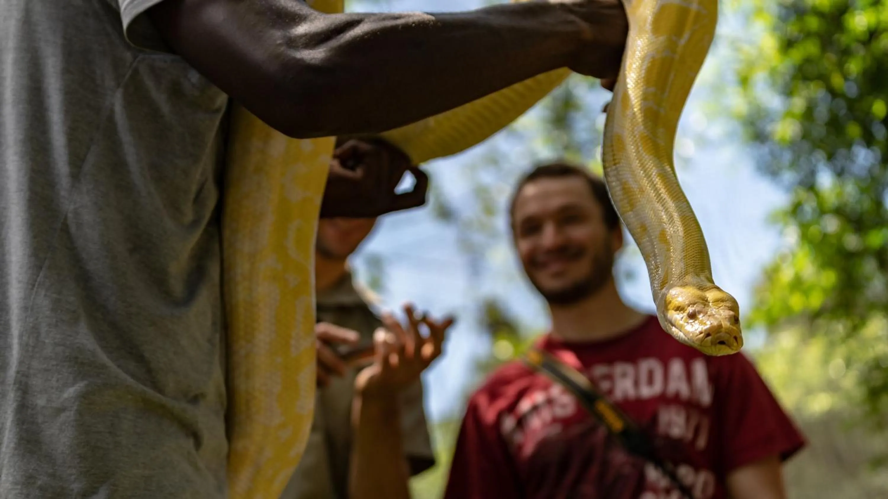 Animals in Gooderson DumaZulu Lodge