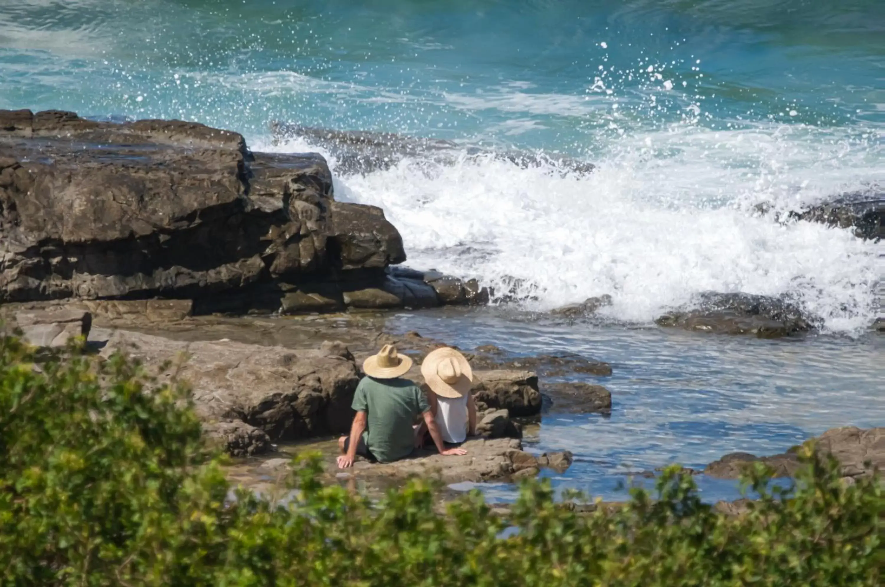 Natural landscape in Oceans Mooloolaba