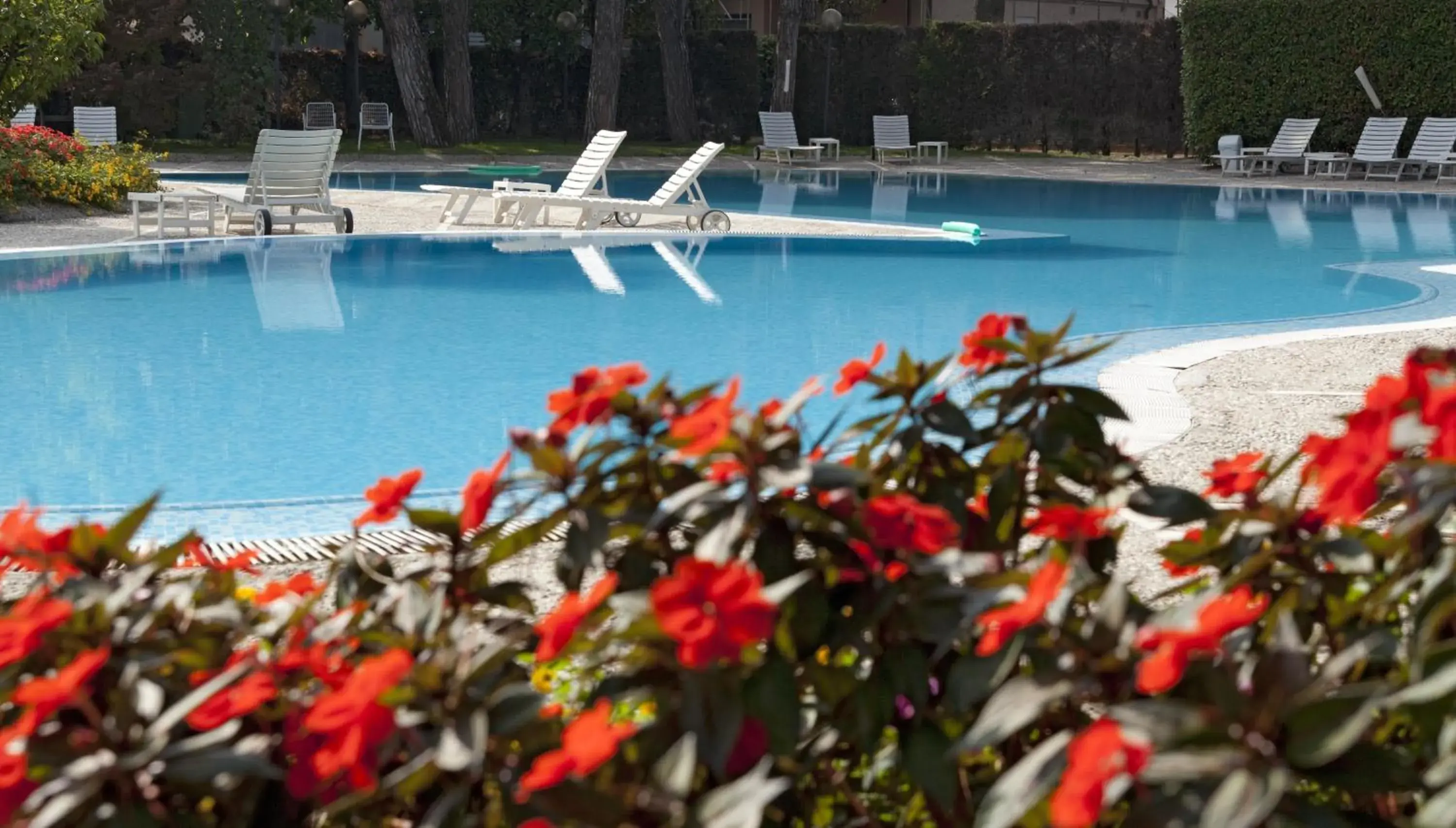 Swimming Pool in Hotel Bristol Buja