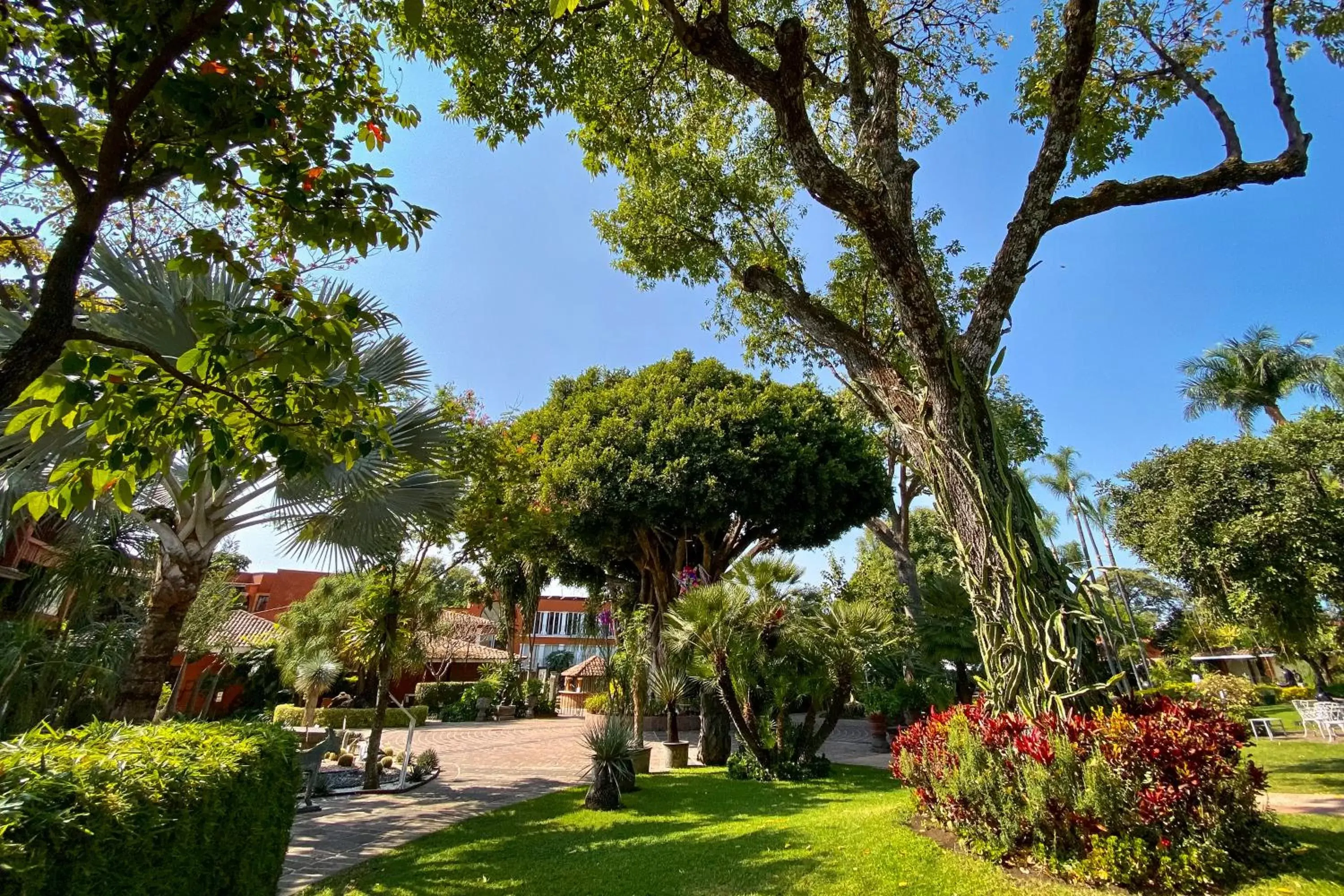 Day, Garden in Hosteria Las Quintas Hotel & Spa