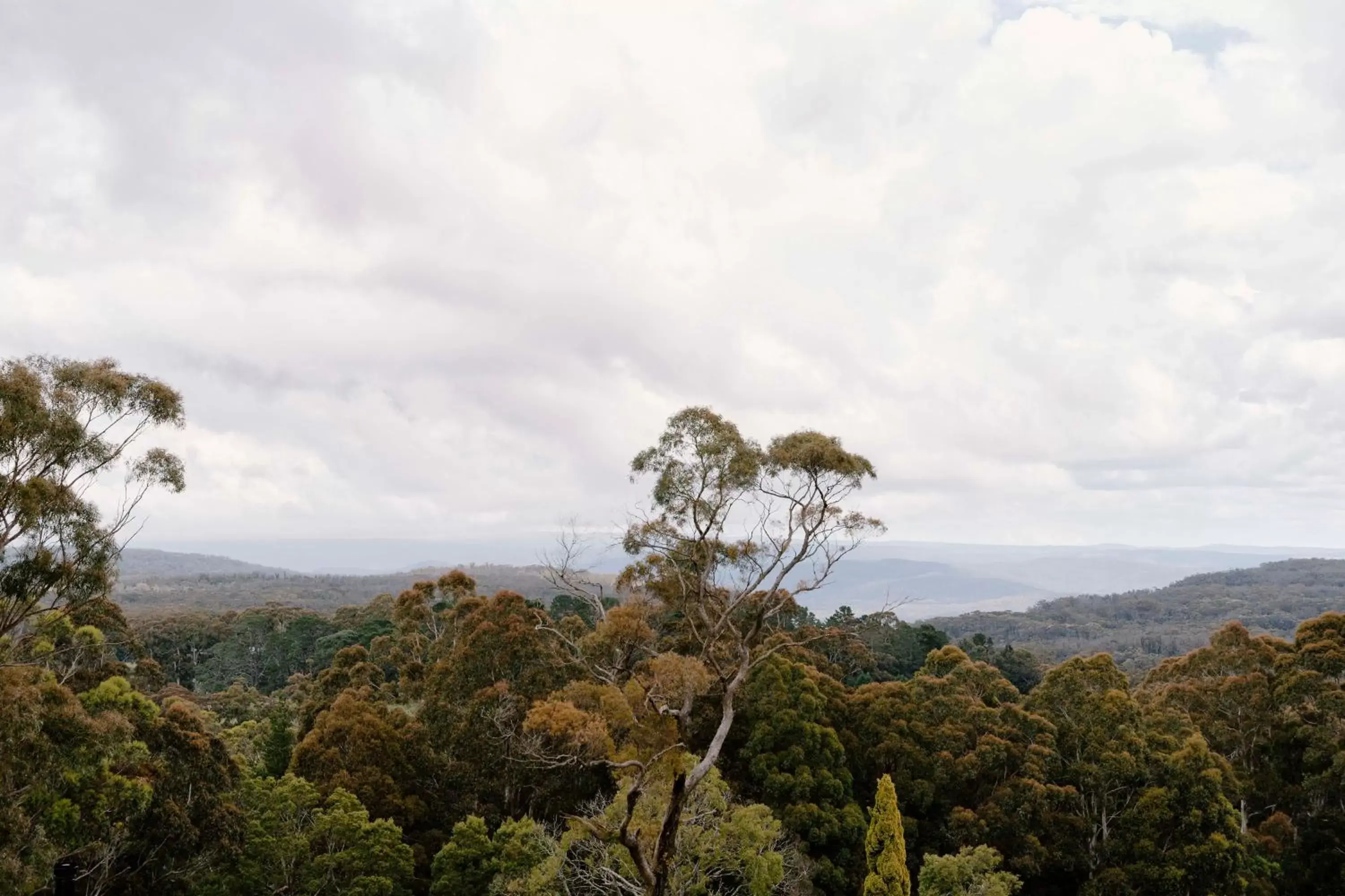 Natural landscape in Osborn House