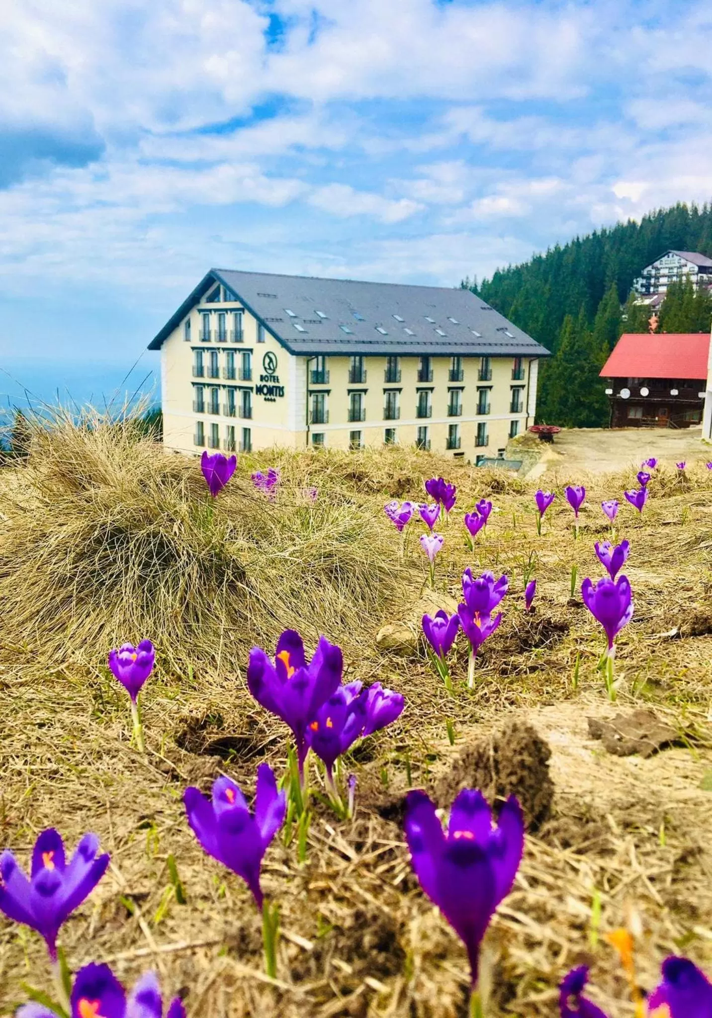 Property building in Montis Hotel & Spa