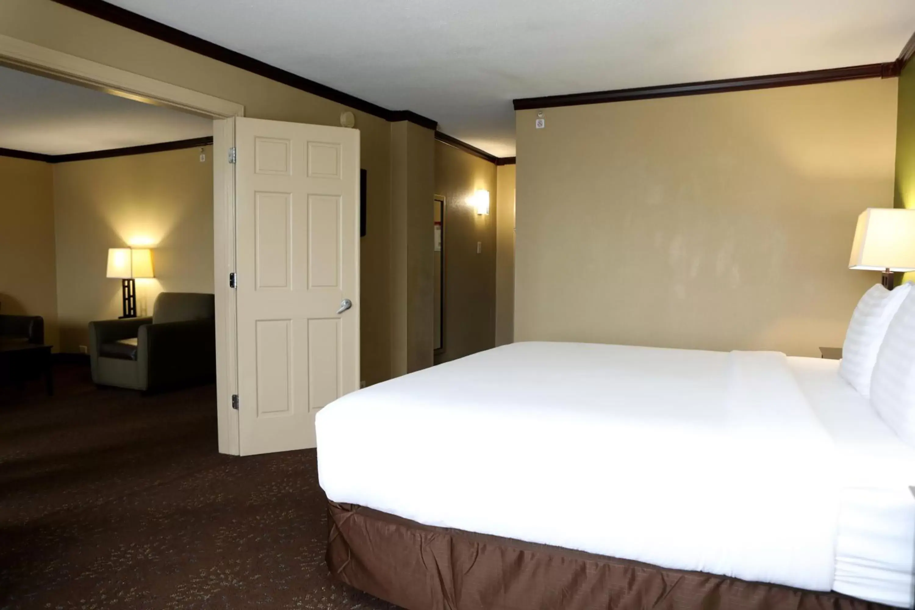 Photo of the whole room, Bed in Holiday Inn Chicago/Oak Brook, an IHG Hotel