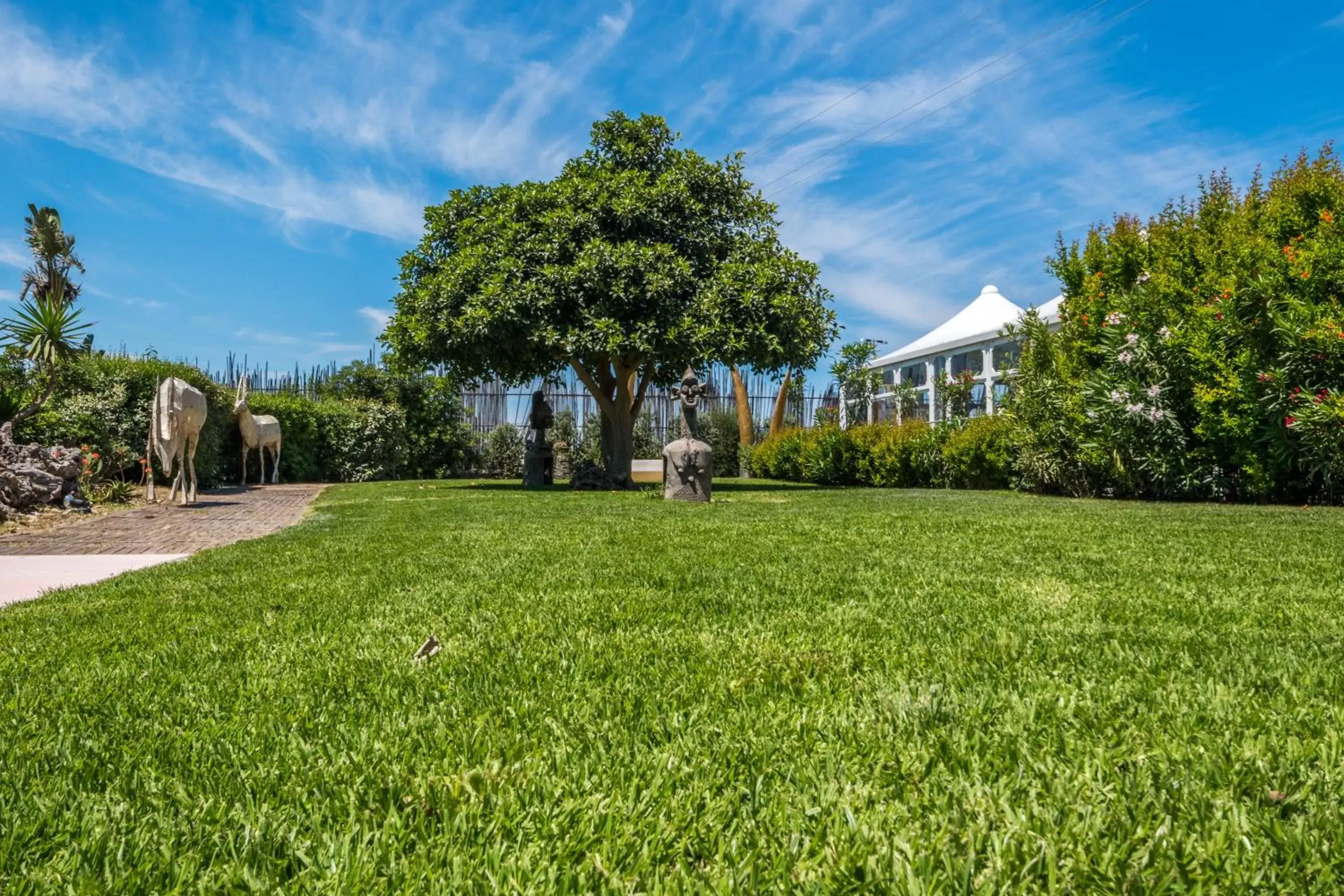 Garden in B&B Le Dune - Self Check in