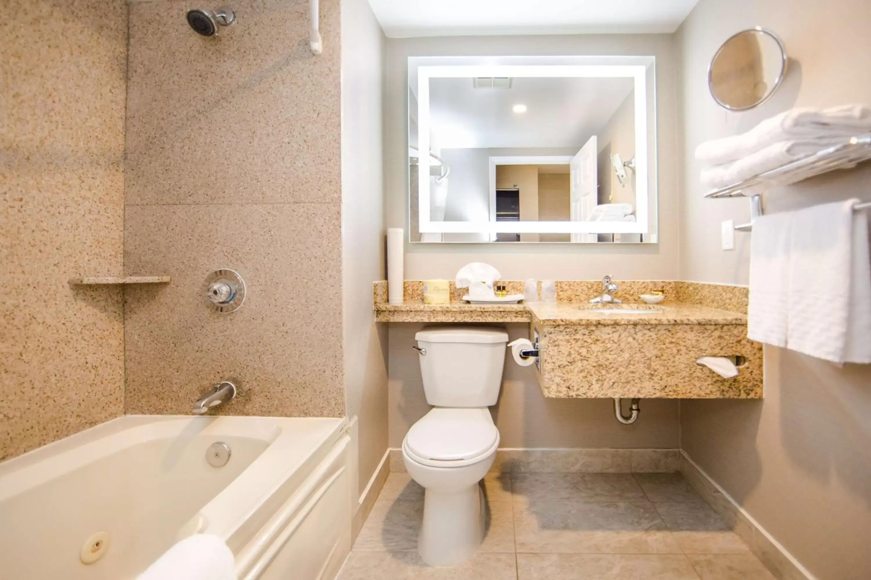 Photo of the whole room, Bathroom in Best Western Plus Ottawa Kanata Hotel and Conference Centre