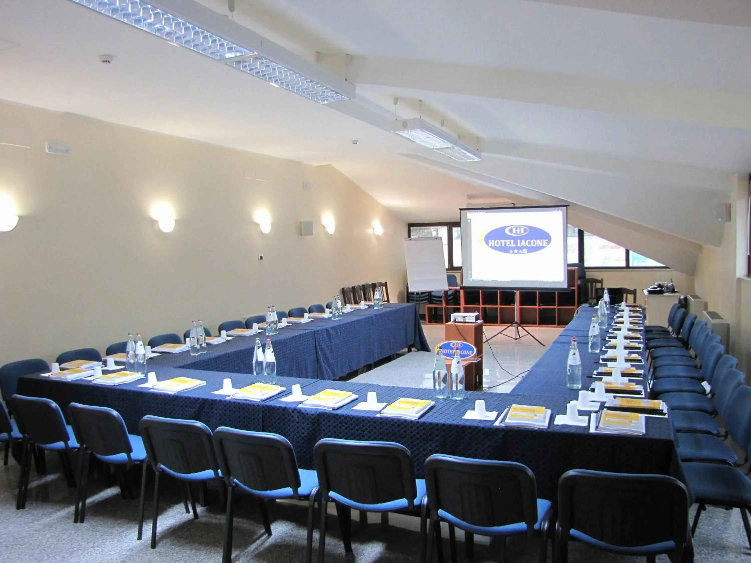 Business facilities in Hotel Iacone