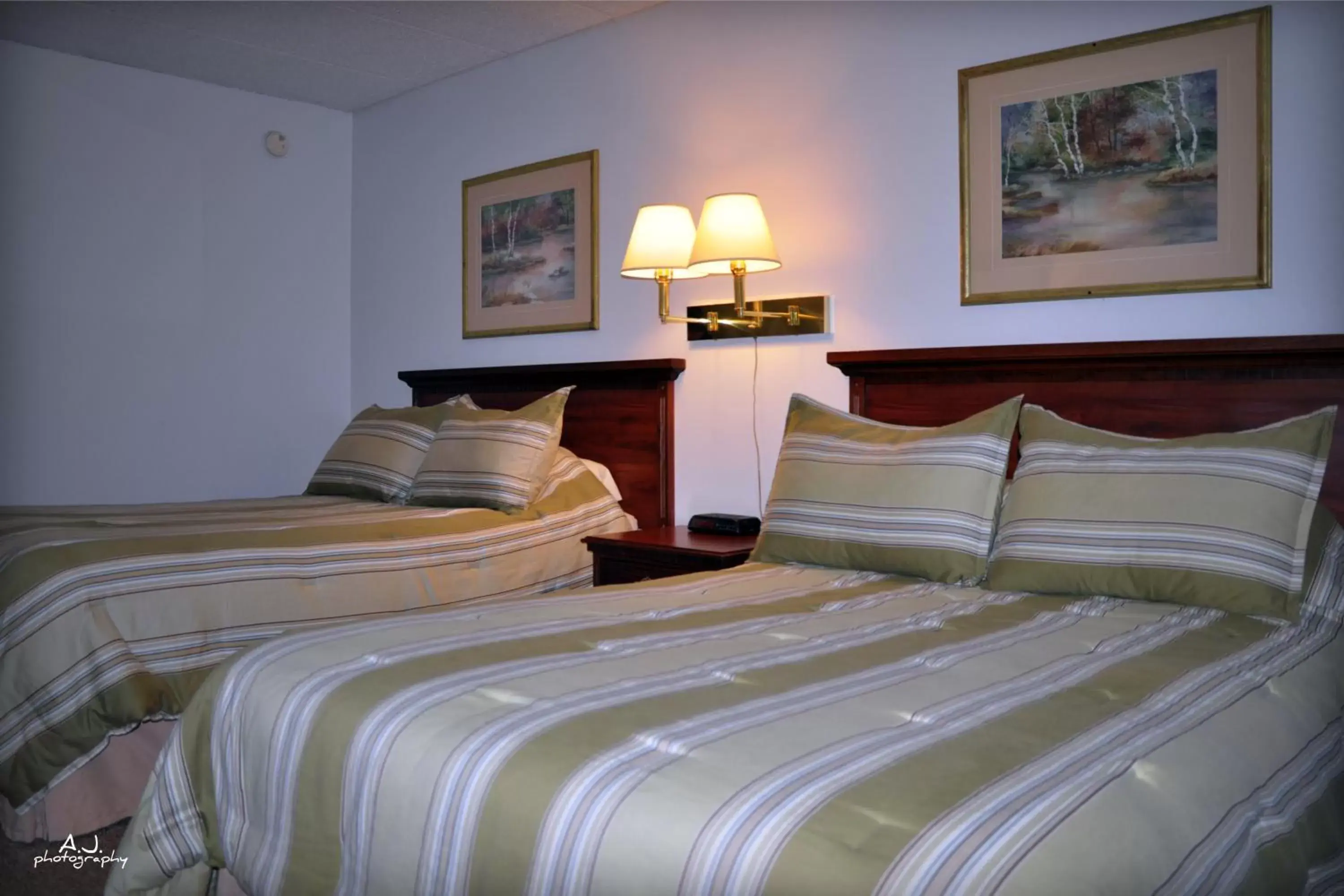 Bed in Gladstone Inn and Suites