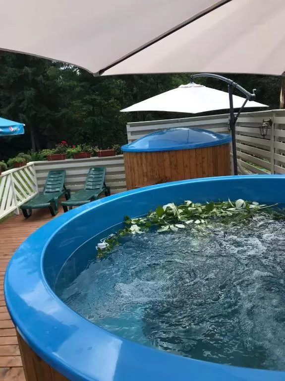 Swimming Pool in Olga Hotel SPA