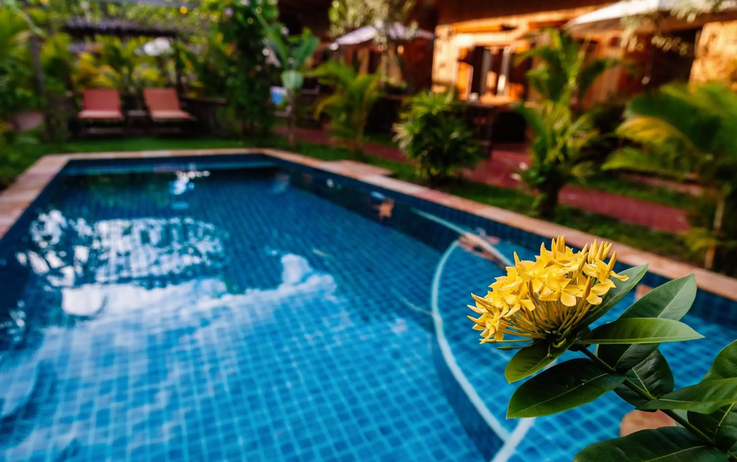 Decorative detail, Swimming Pool in Sok Sabay Resort