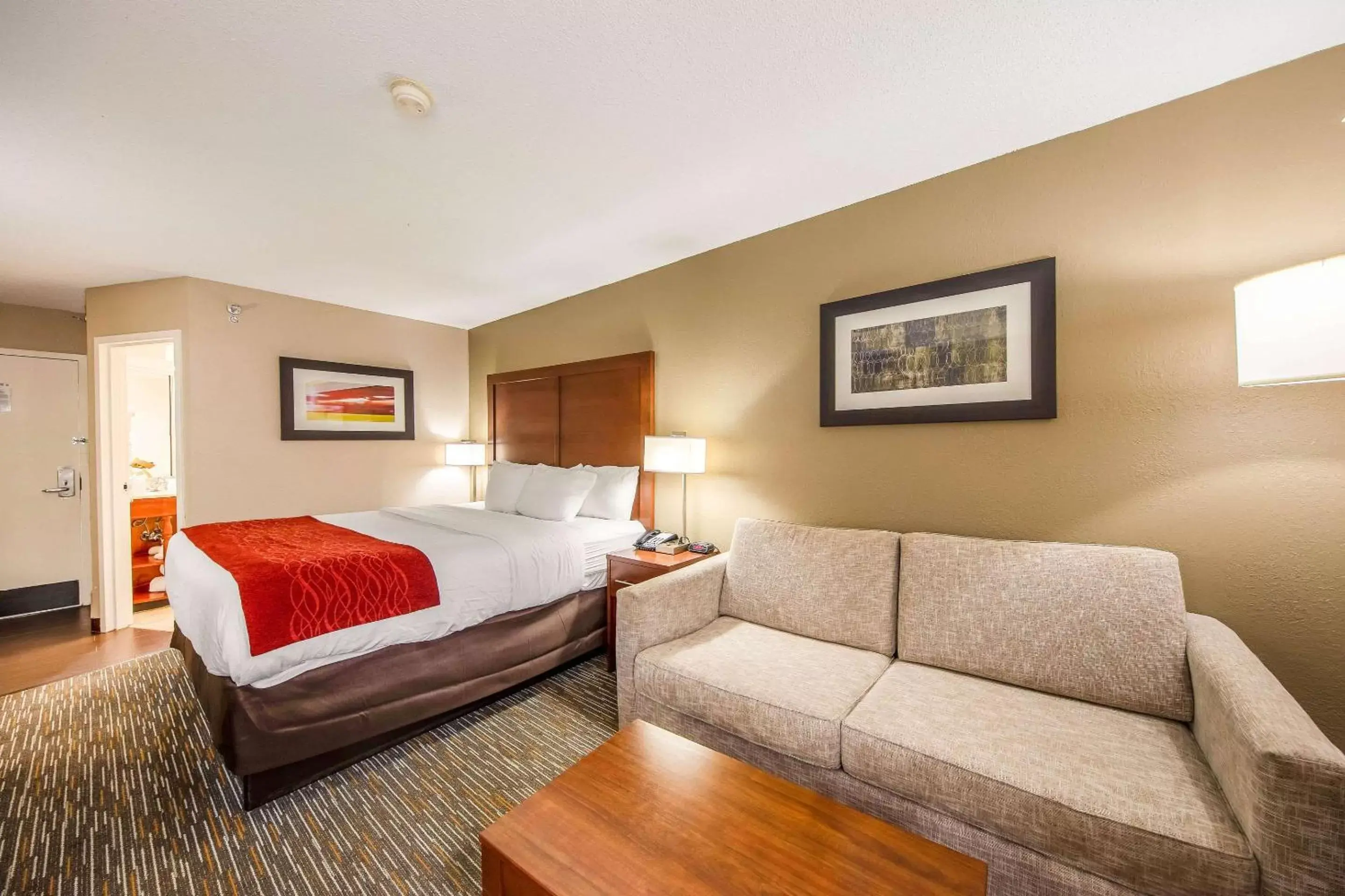 Photo of the whole room in Comfort Inn Greenville - Haywood Mall