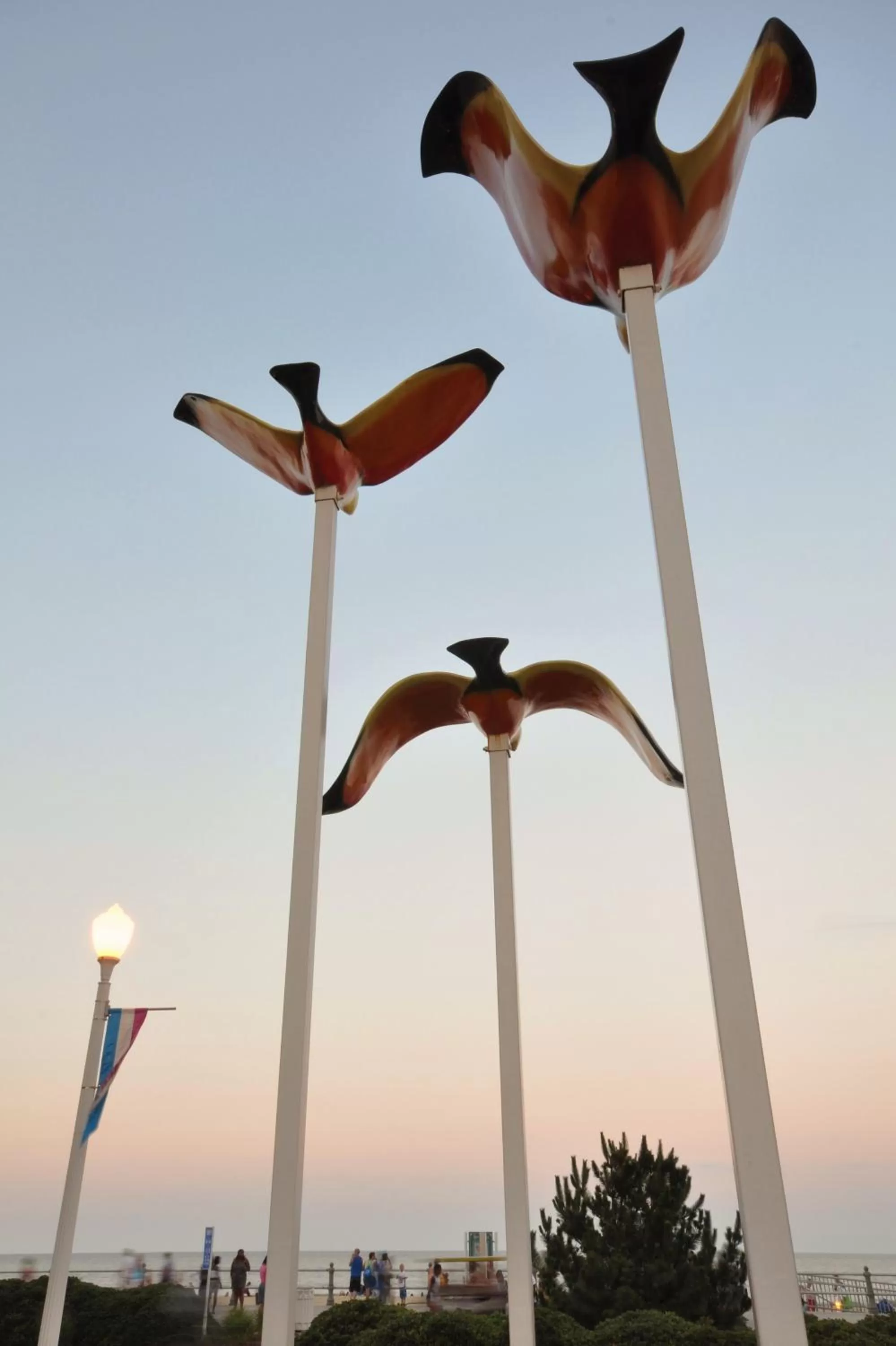 Area and facilities in Country Inn & Suites by Radisson, Virginia Beach Oceanfront