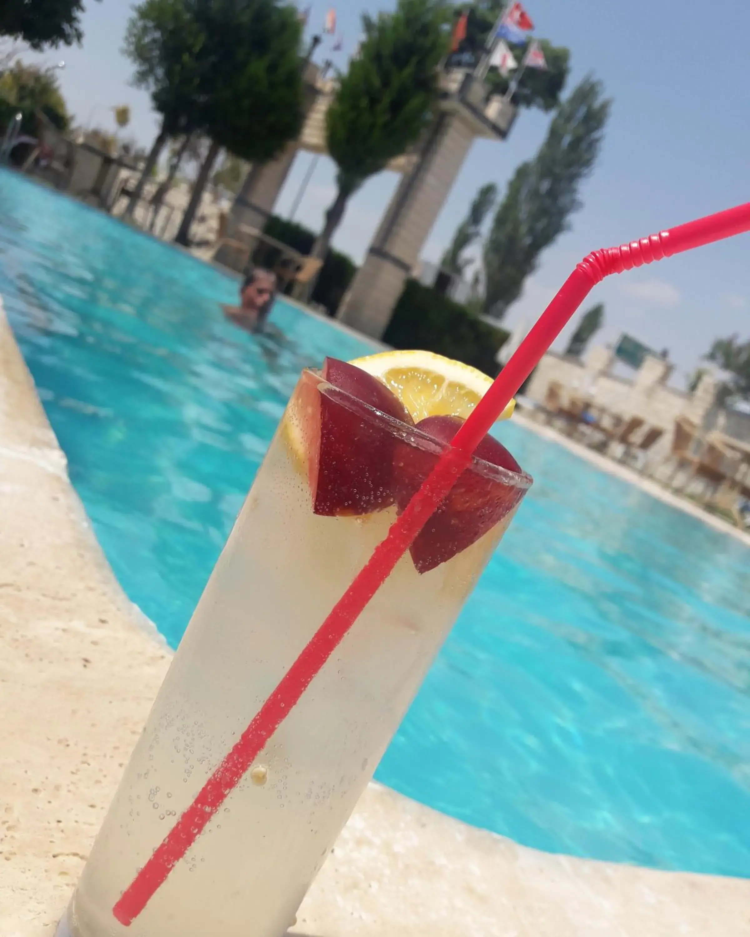 Swimming Pool in Hotel HAL-TUR