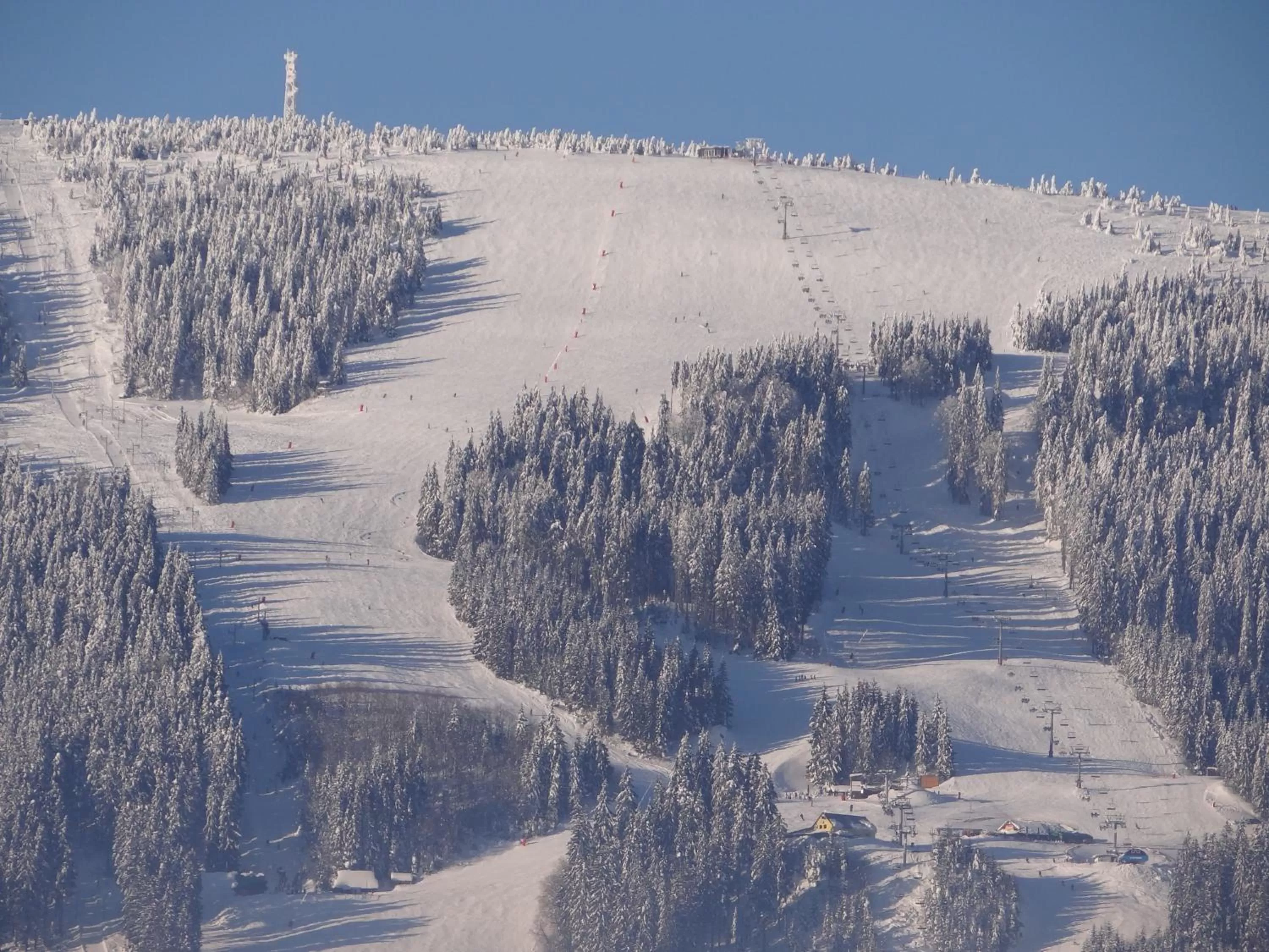Skiing in Top Penzión Marína