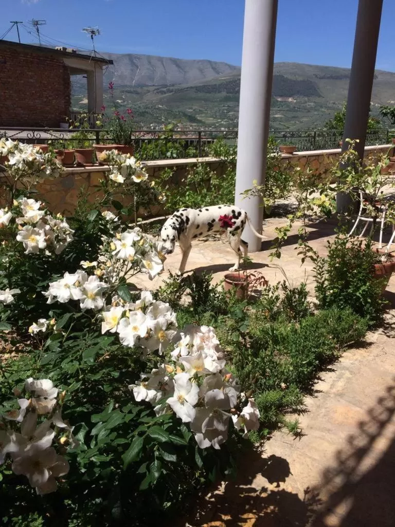 Property building in Guesthouse Villa Rosa Berat