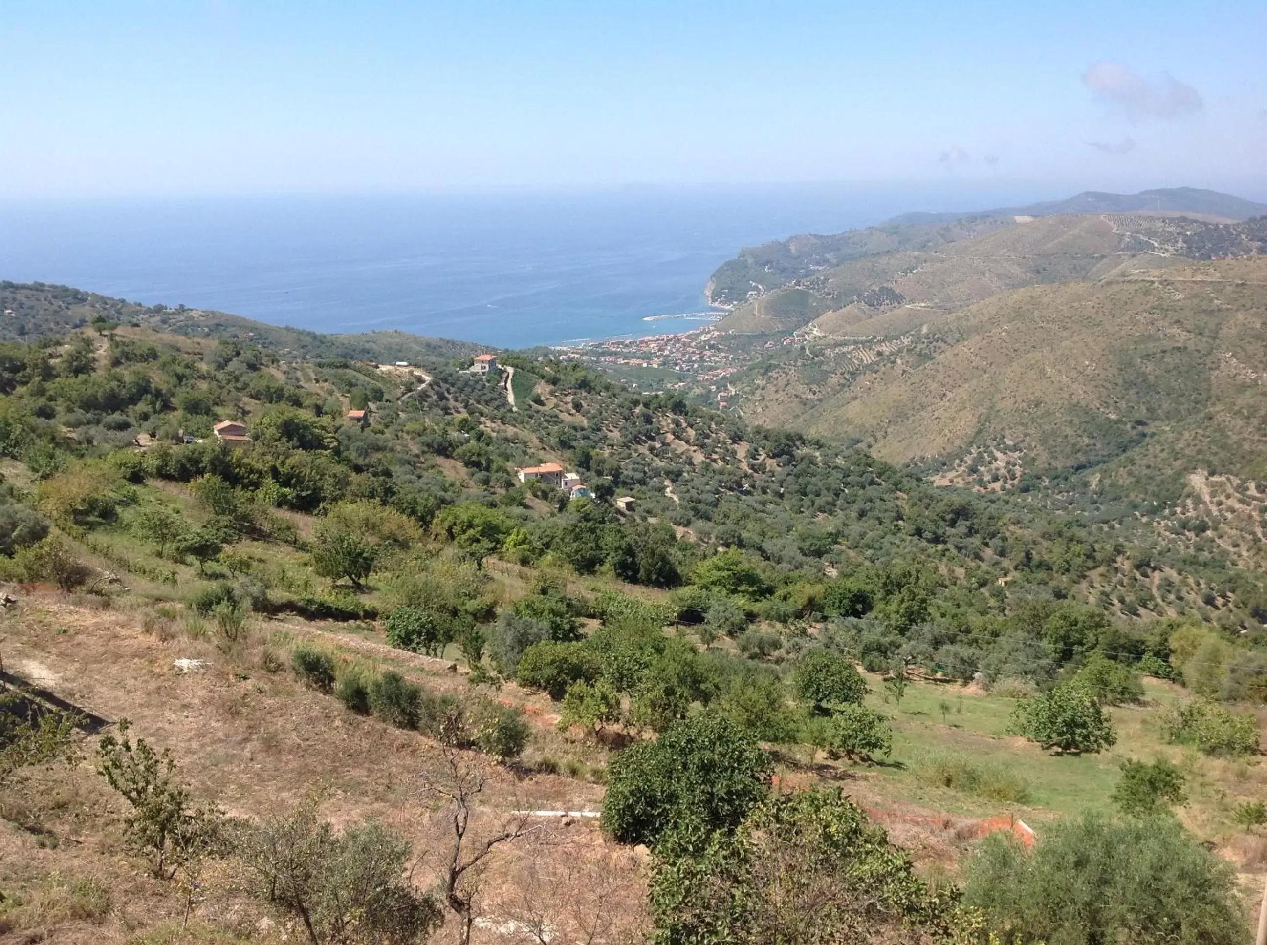 View (from property/room) in Cilento