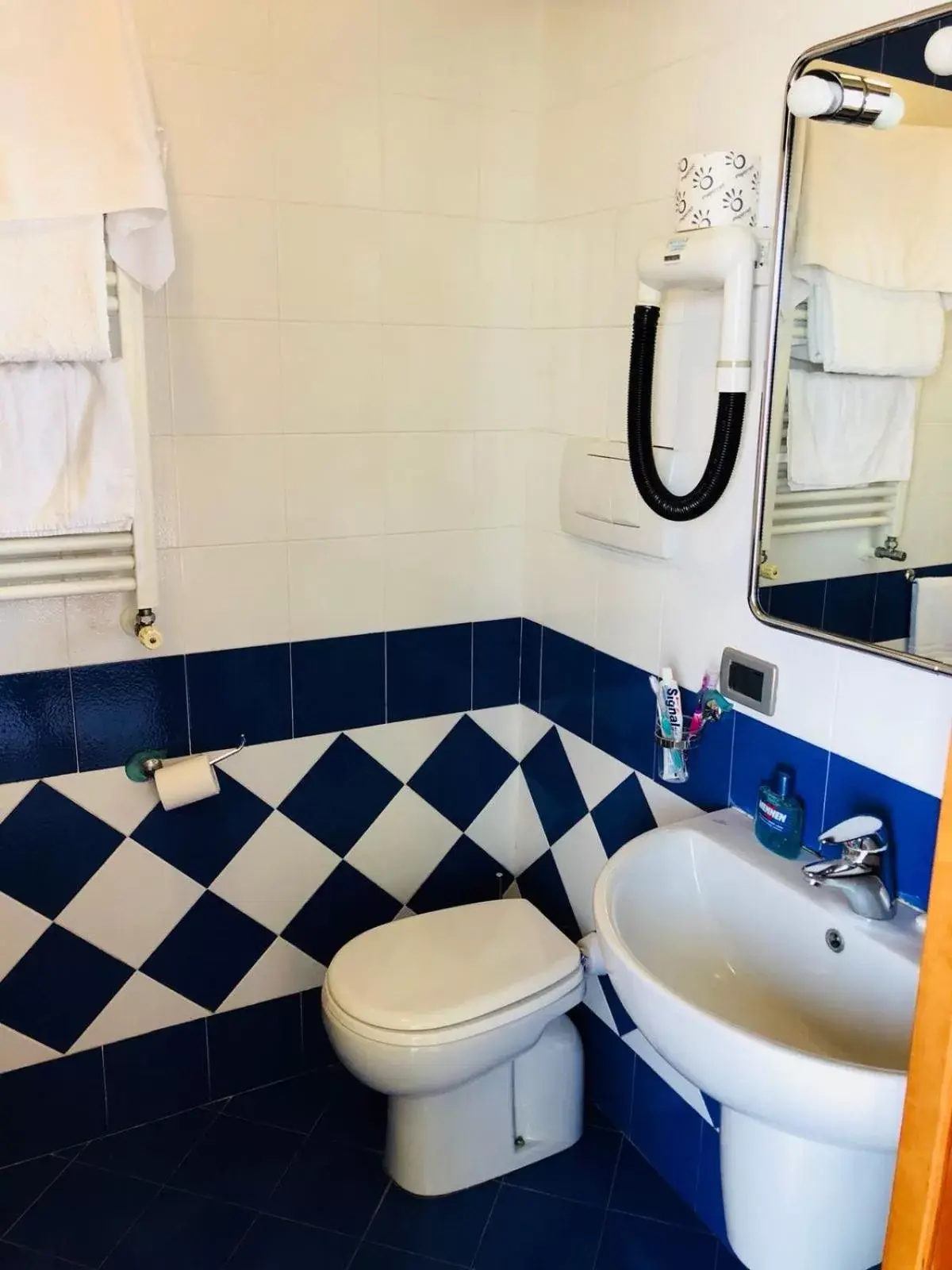 Bathroom in Hotel Elisabetta