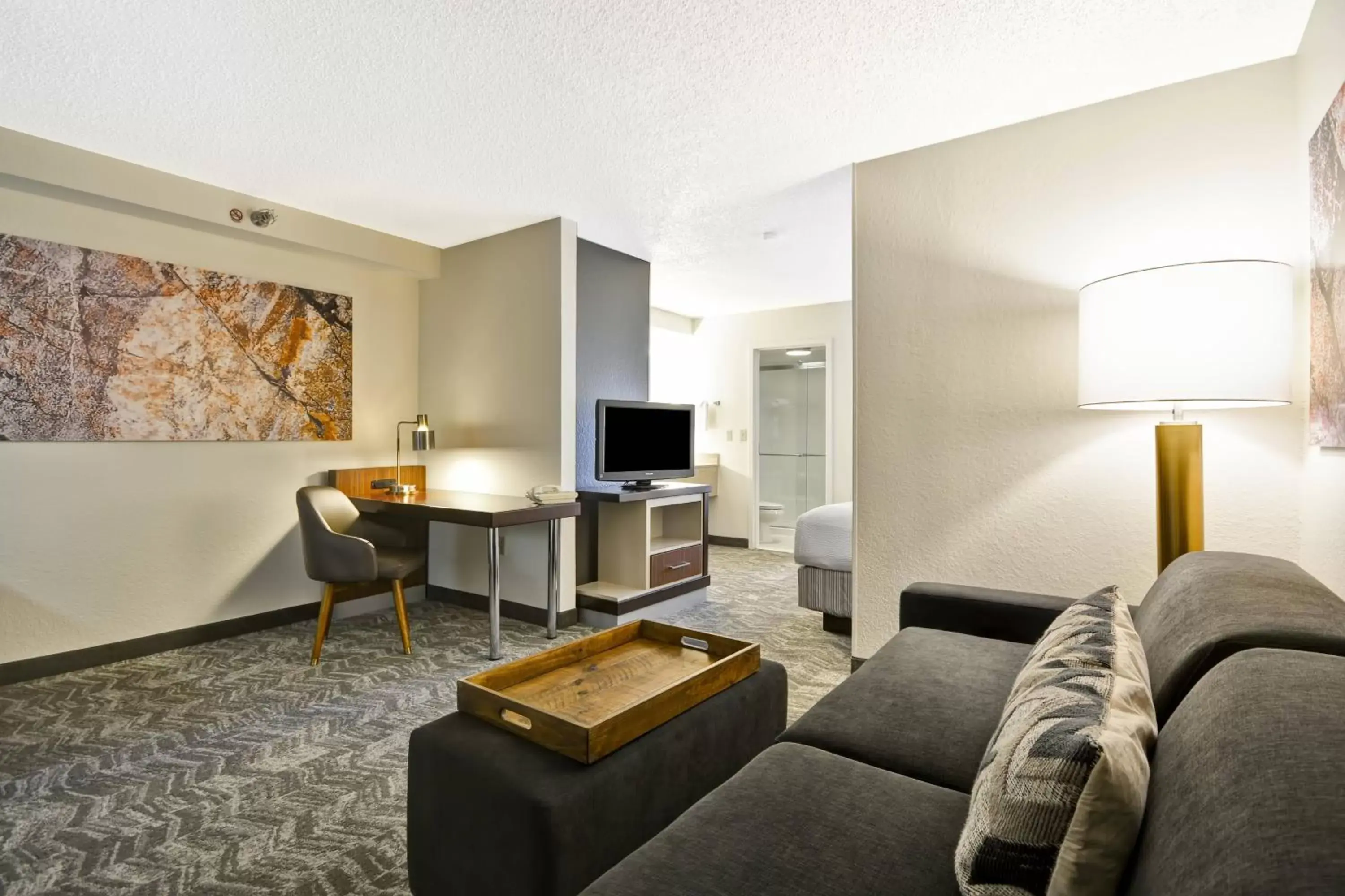 Living room, Seating Area in SpringHill Suites by Marriott San Antonio Medical Center/Northwest