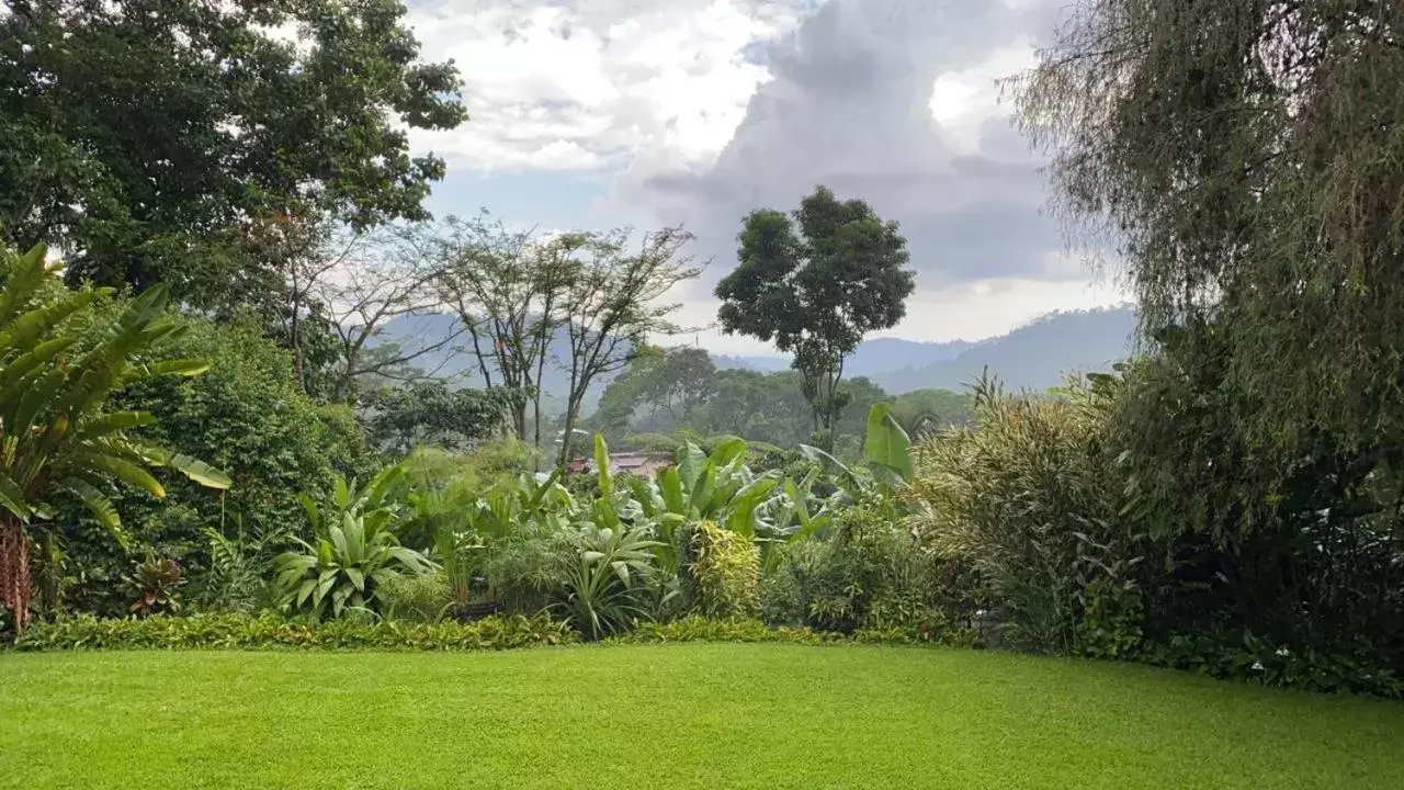 Natural landscape, Garden in Argovia Finca Resort