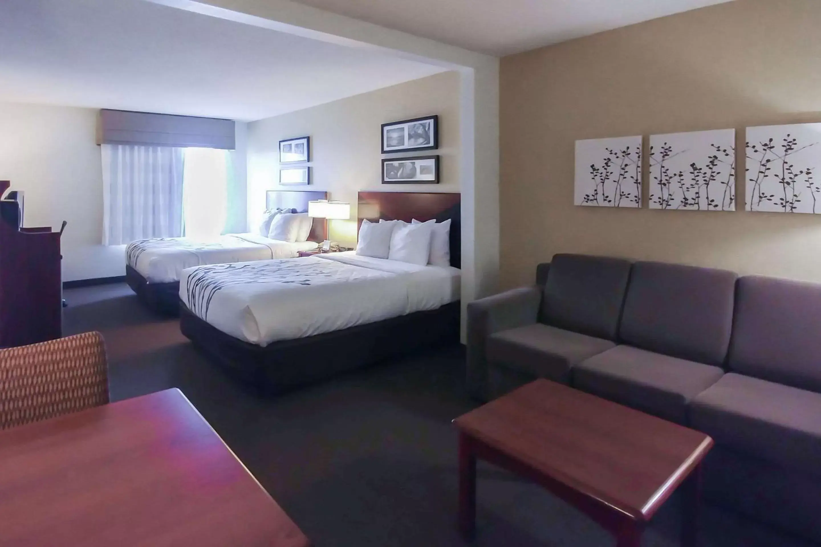Photo of the whole room in Wingate by Wyndham Dublin Near Claytor Lake State Park
