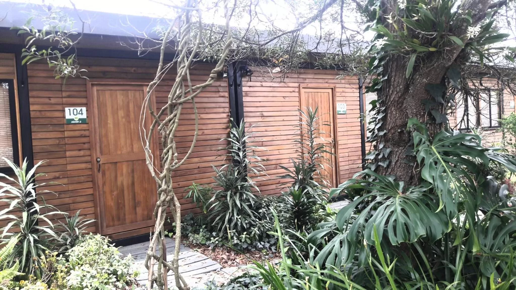 Garden, Property Building in ALTO LODGING Centro de Entrenamiento Deportivo y Negocios, a 2 pasos del Aeropuerto JMC, Transporte Incluido