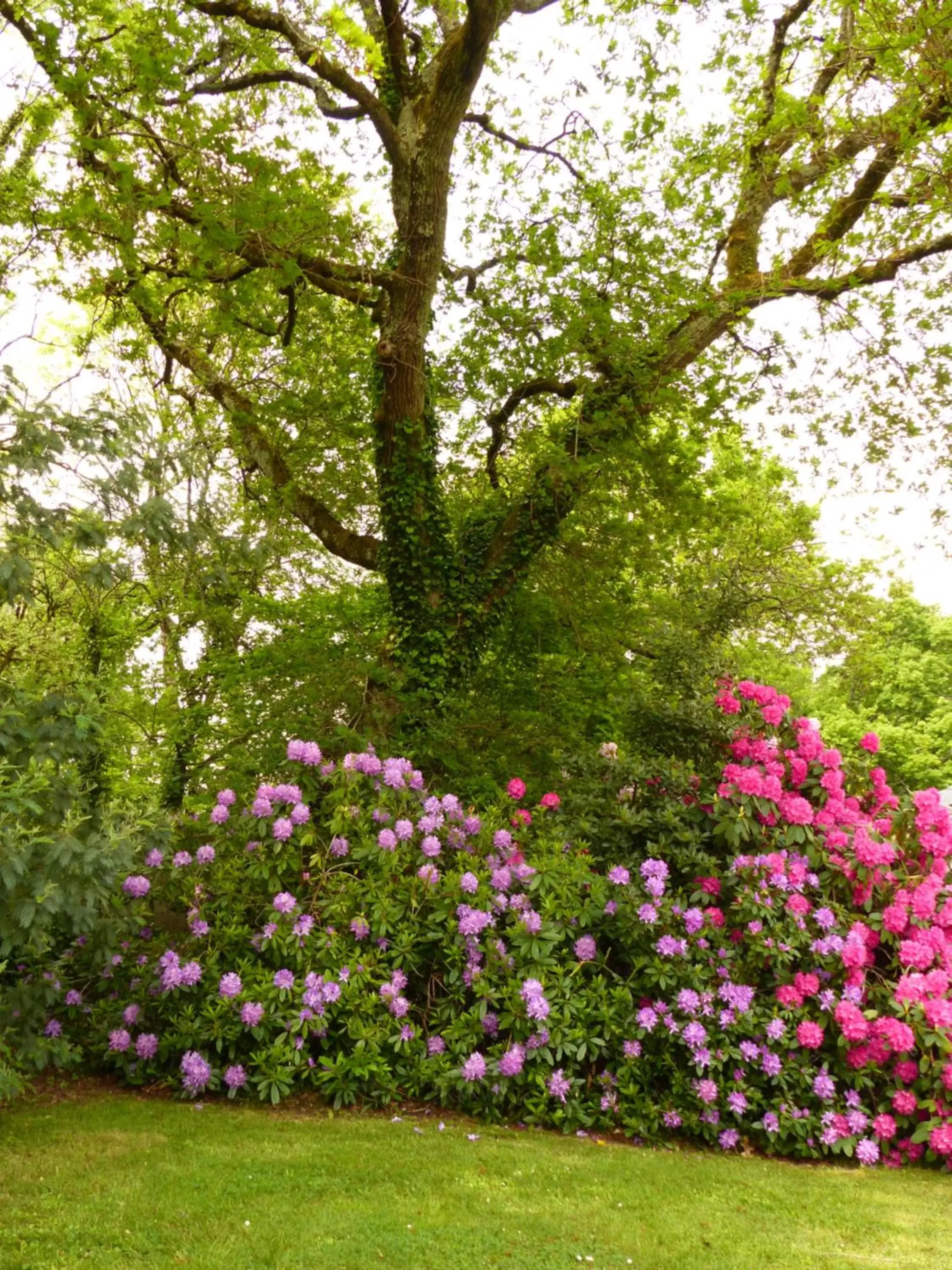 Spring, Garden in Best Western Auray le Loch