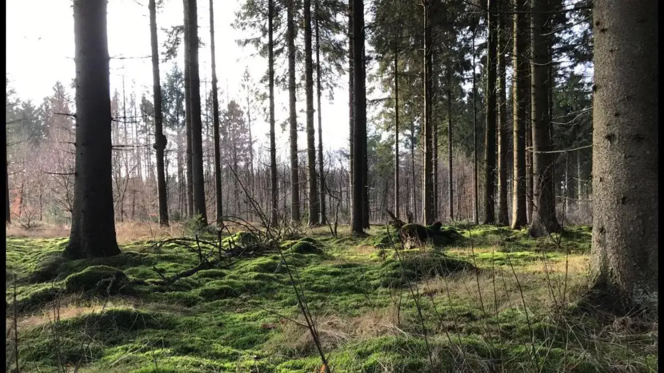 Natural Landscape in Mooiverblijf