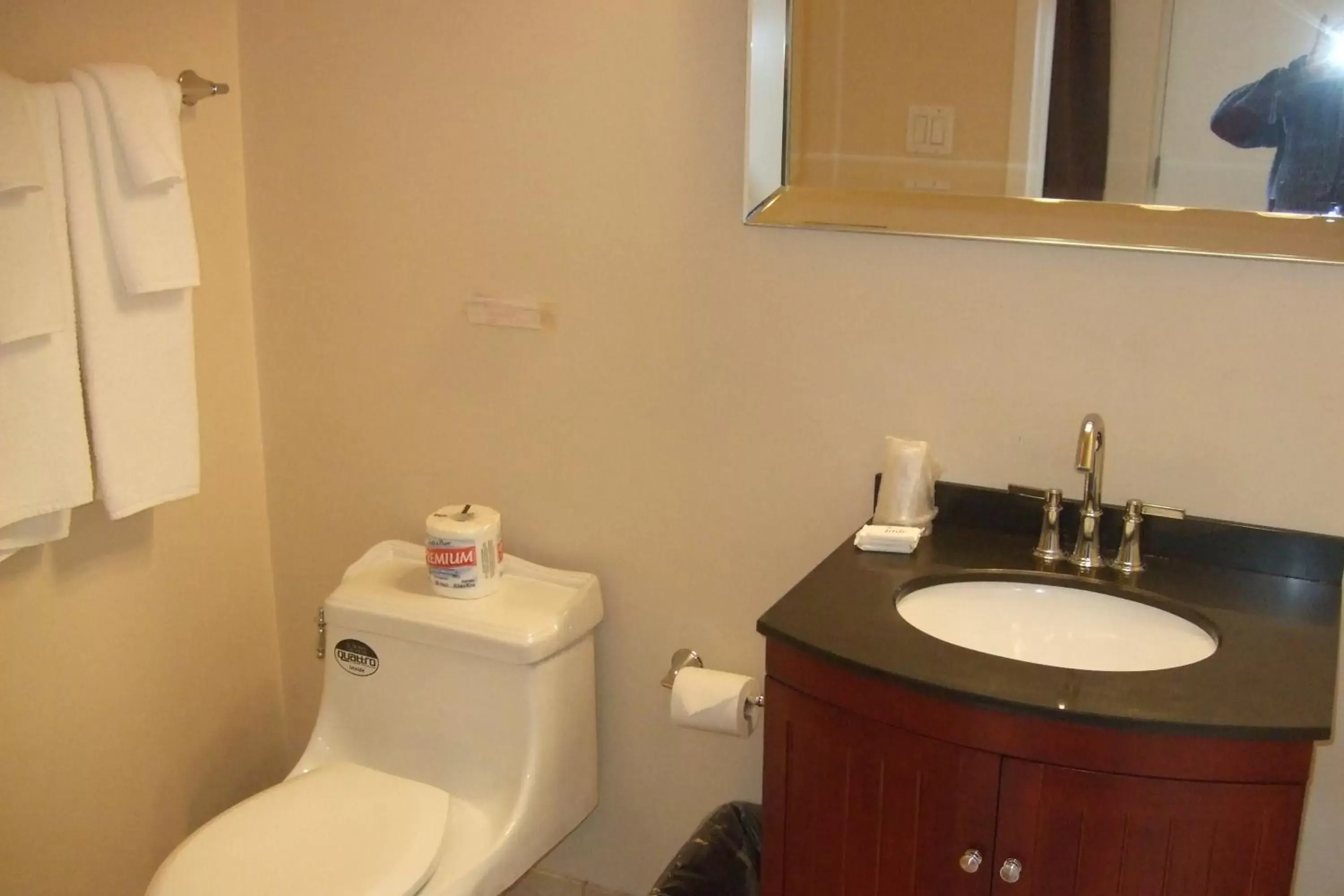 Photo of the whole room, Bathroom in Trailside Inn