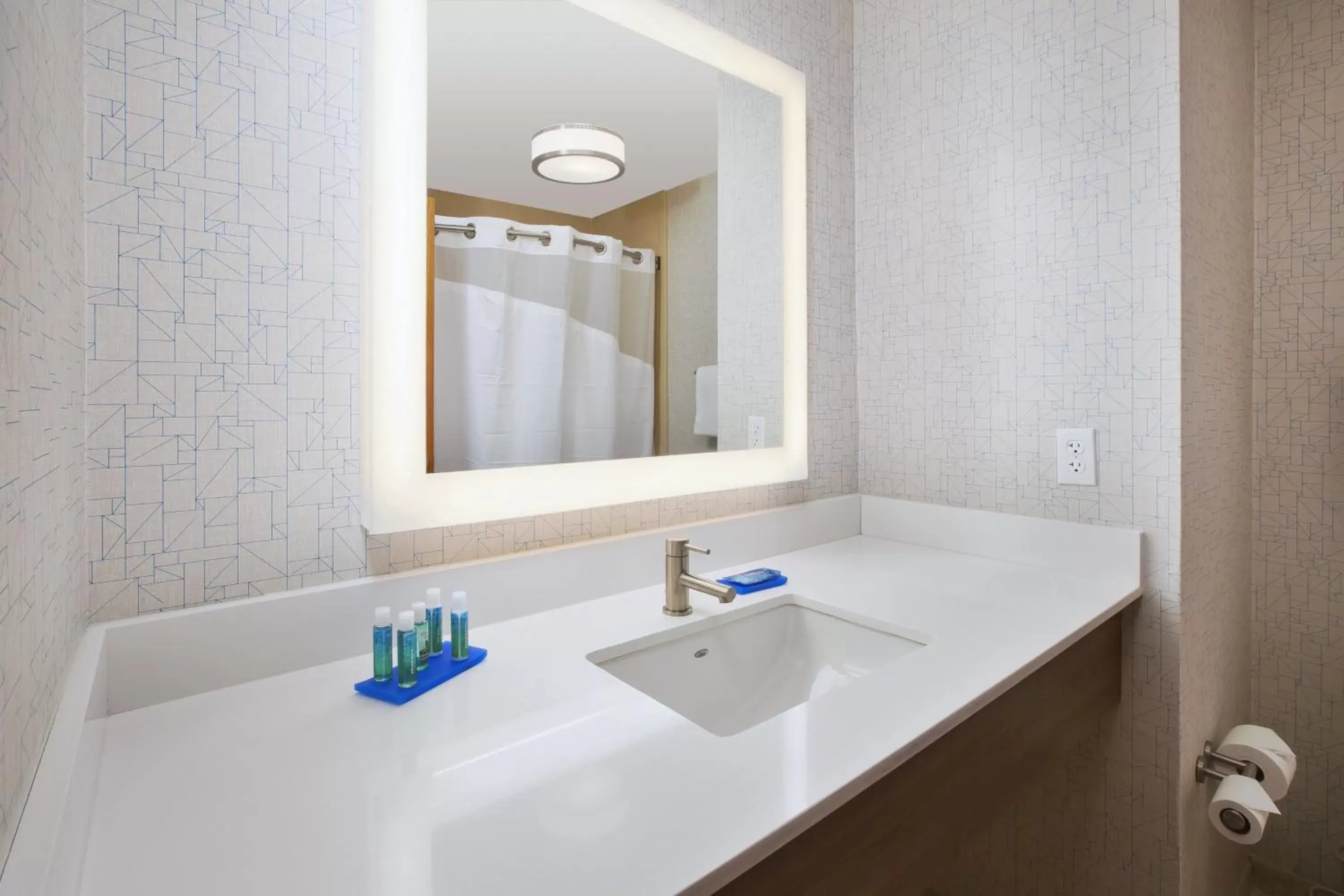 Bathroom in Holiday Inn Express Hotel & Suites Auburn Hills, an IHG Hotel