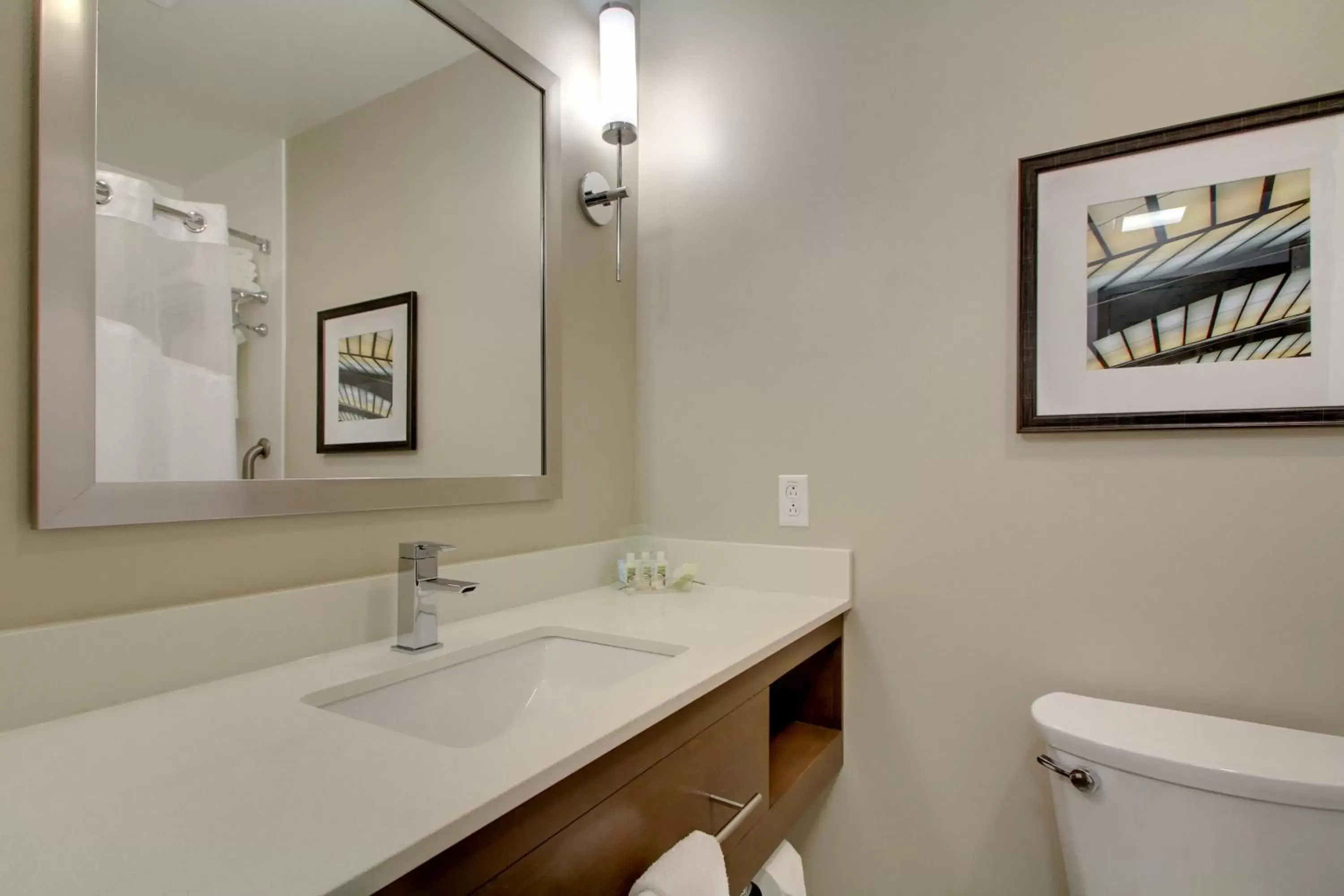 Bathroom in Holiday Inn & Suites Peoria at Grand Prairie, an IHG Hotel