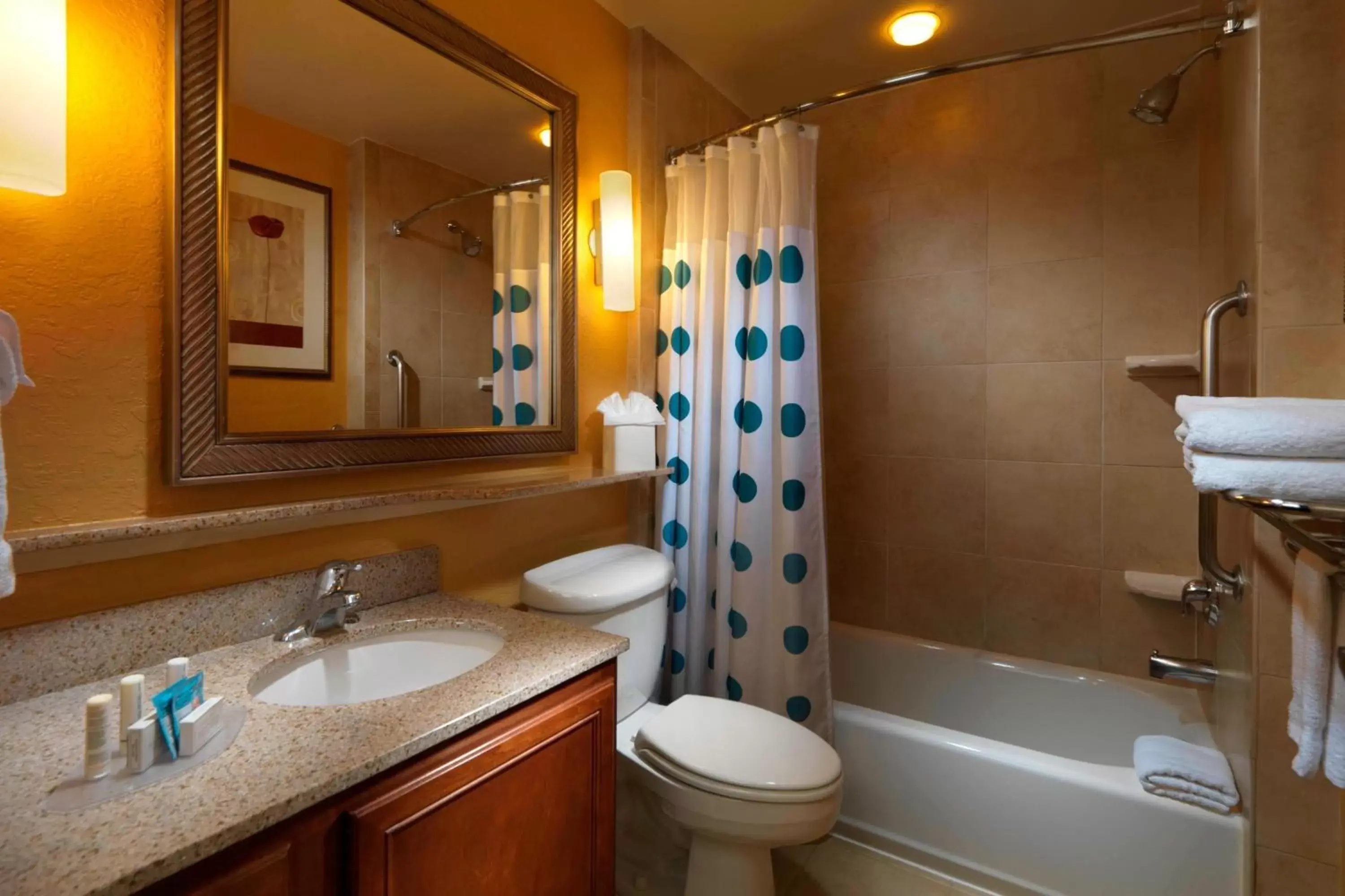 Bathroom in TownePlace Suites Houston Intercontinental Airport
