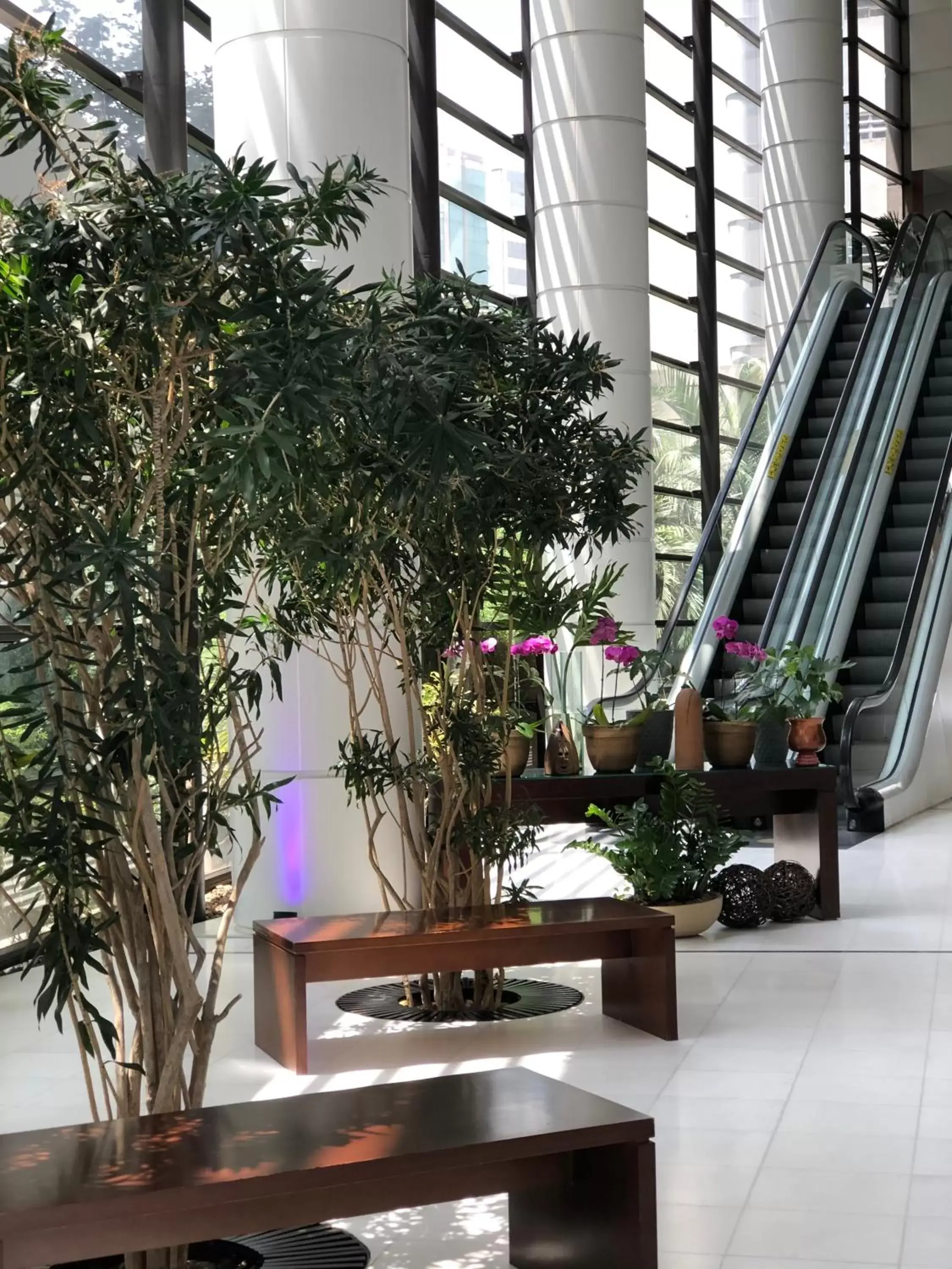 Lobby or reception in Mercure Sao Paulo Grand Plaza Paulista