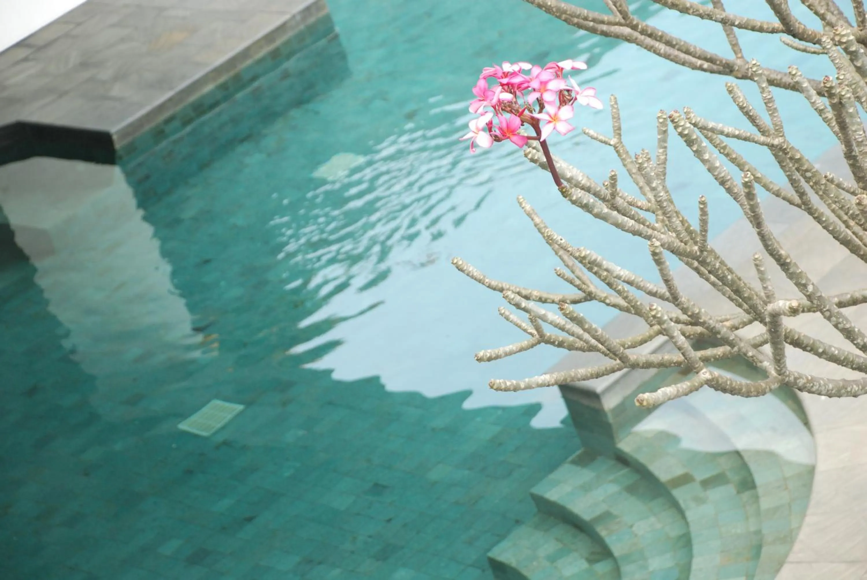 Swimming pool in eL Hotel Malang