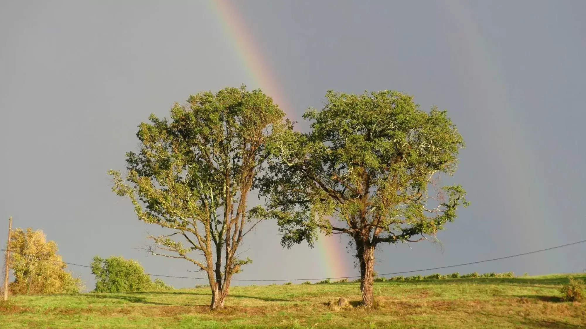 Natural landscape in Aux Tuileries Nord