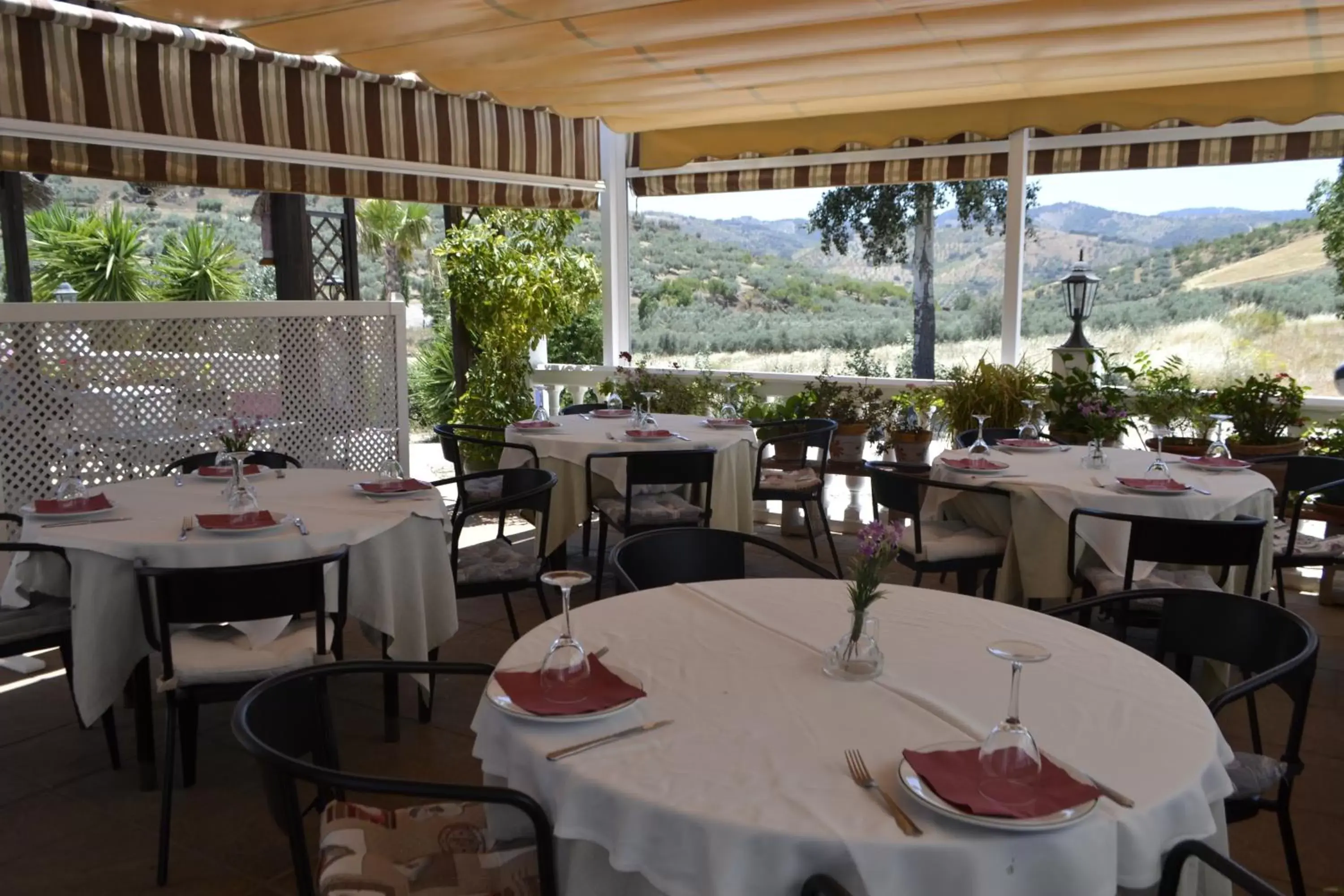 Restaurant/Places to Eat in Hotel Arco del Sol