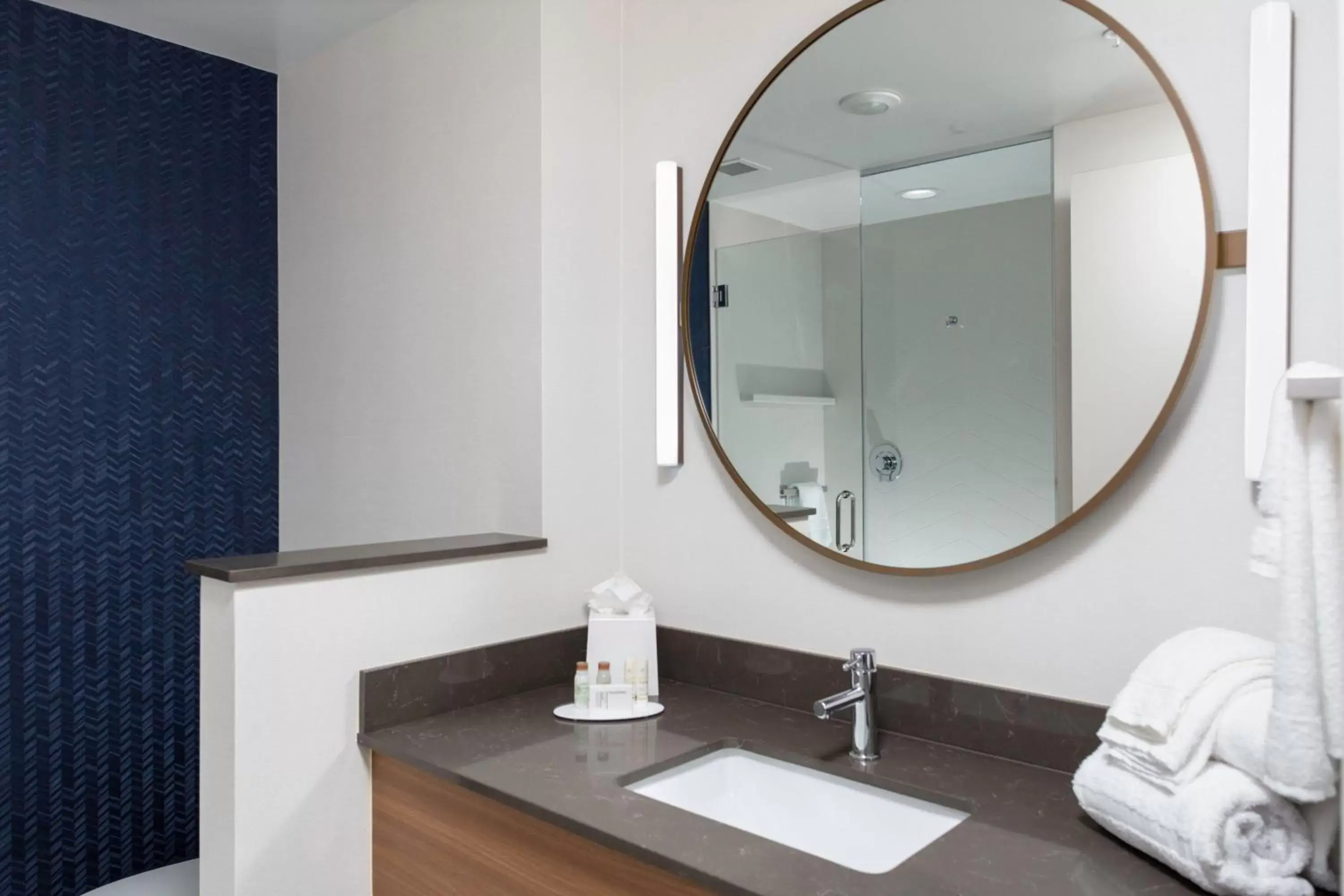 Bathroom in Fairfield Inn & Suites by Marriott Atlanta Marietta