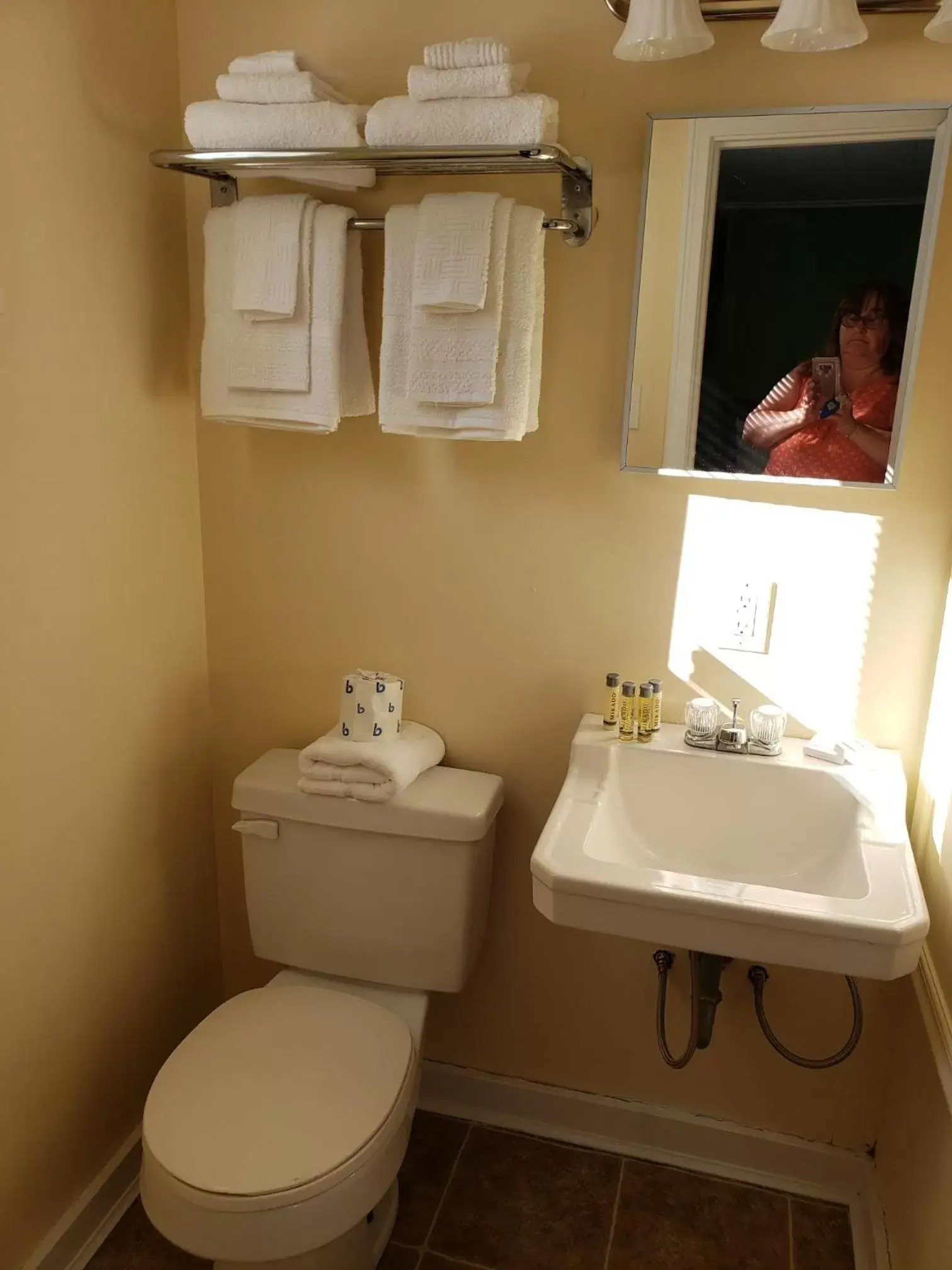 Bathroom in Blue Ridge Motel