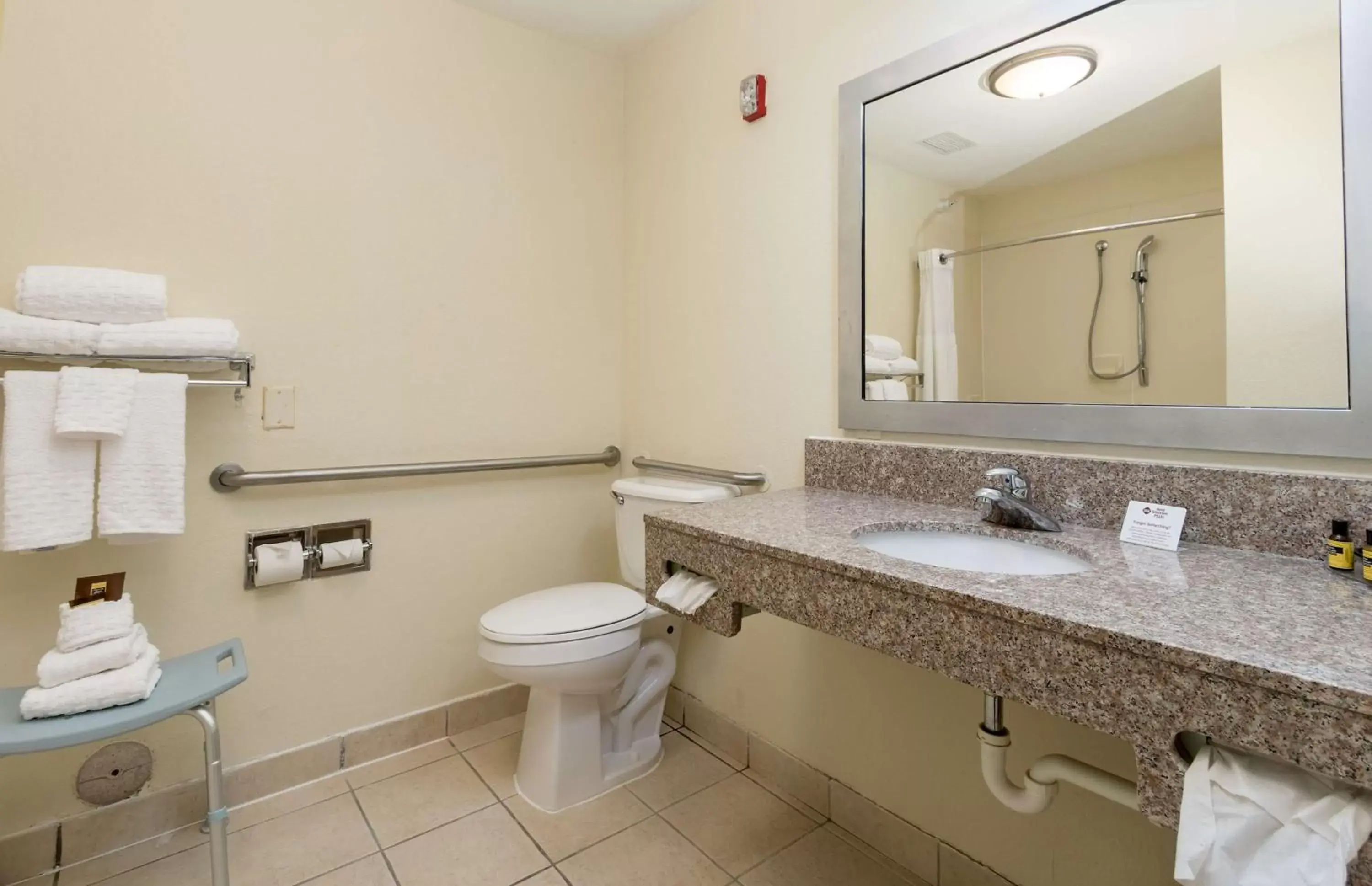 Bathroom in Best Western Plus Holland Inn & Suites